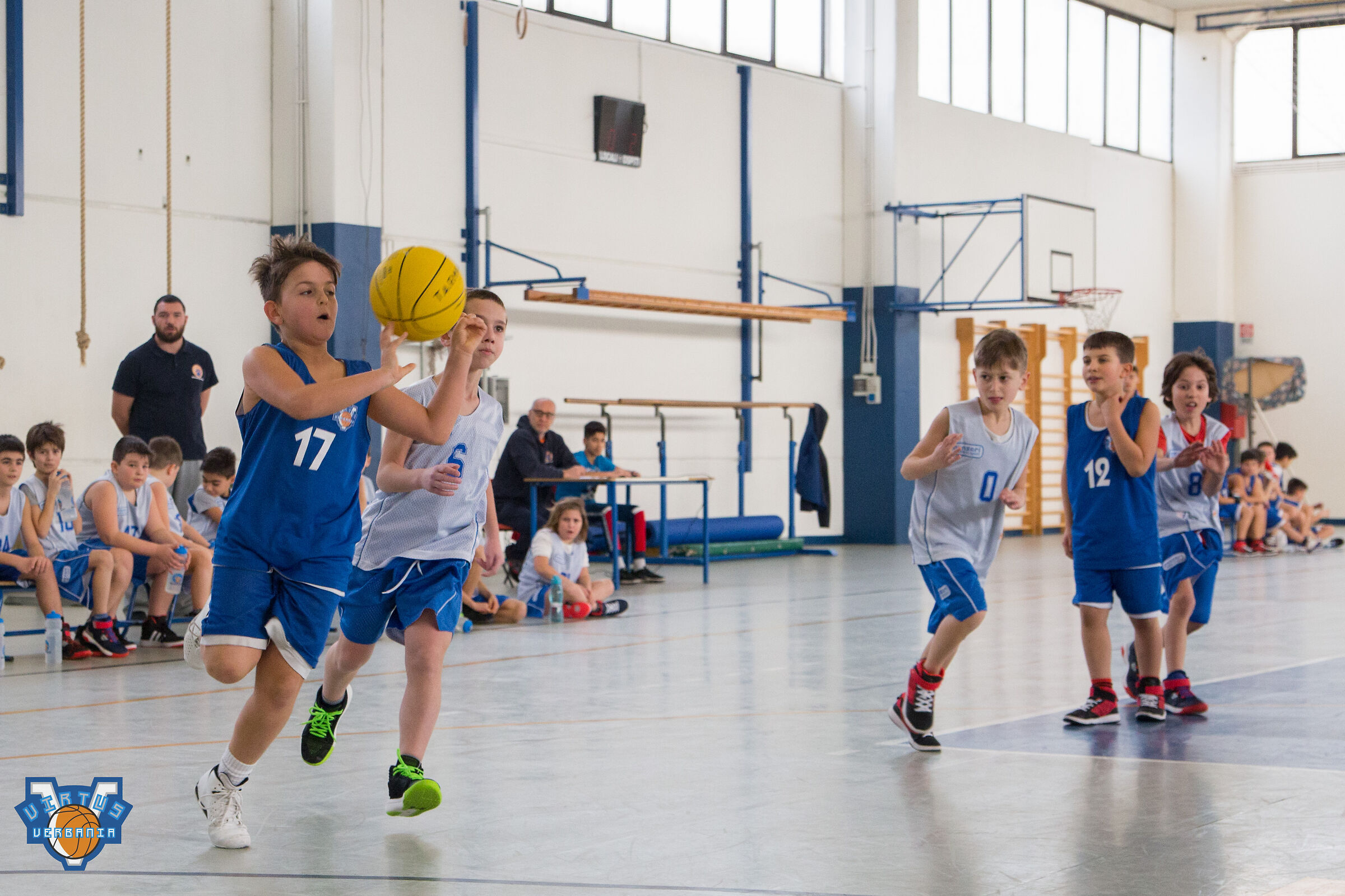 Virtus Verbania Basket