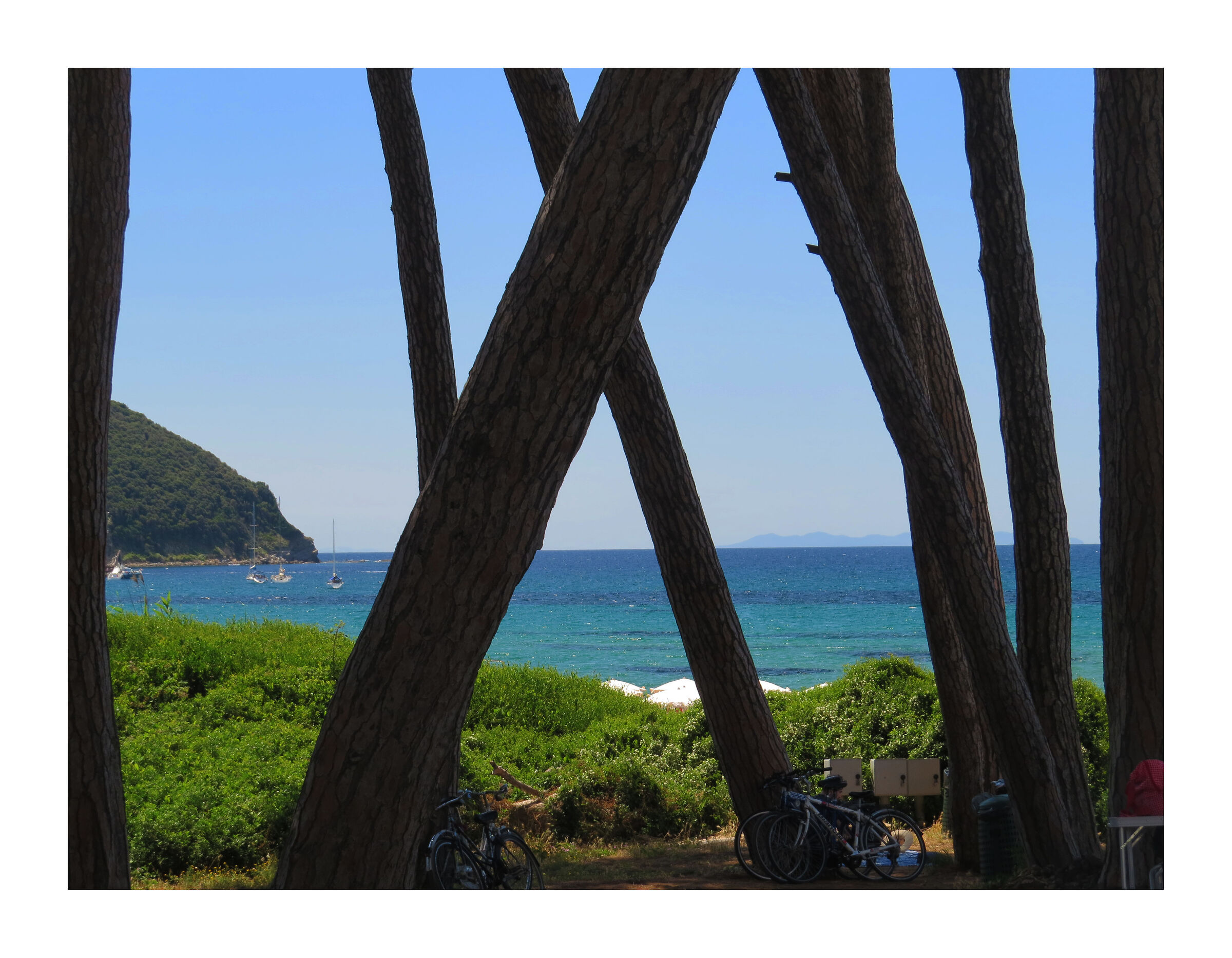 Prisoner in Paradise