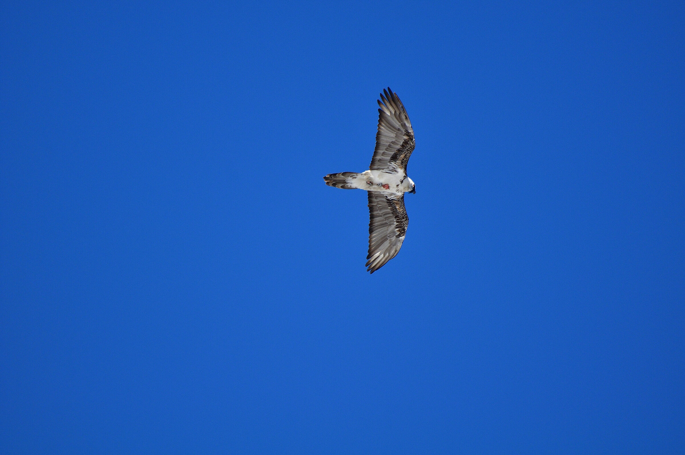 La mia Emozione di fotografare....