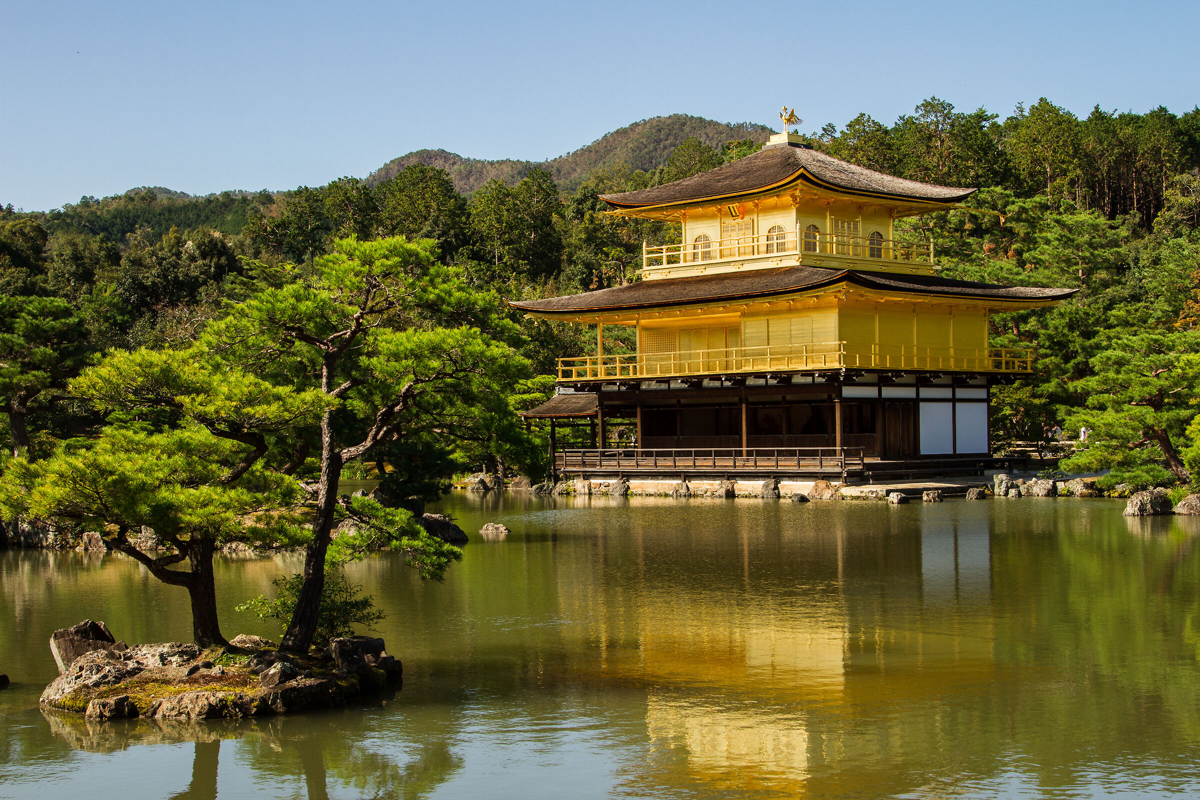 Kinkaku-ji Padiglione d'oro