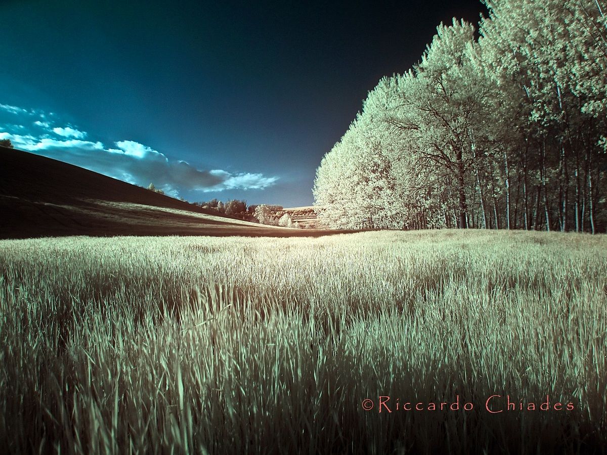 Sulla strada della grigliata di pasquetta infrared