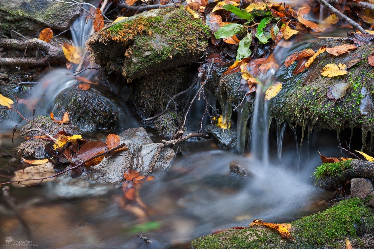 Rio Ermolinus, dettaglio - Montarbu