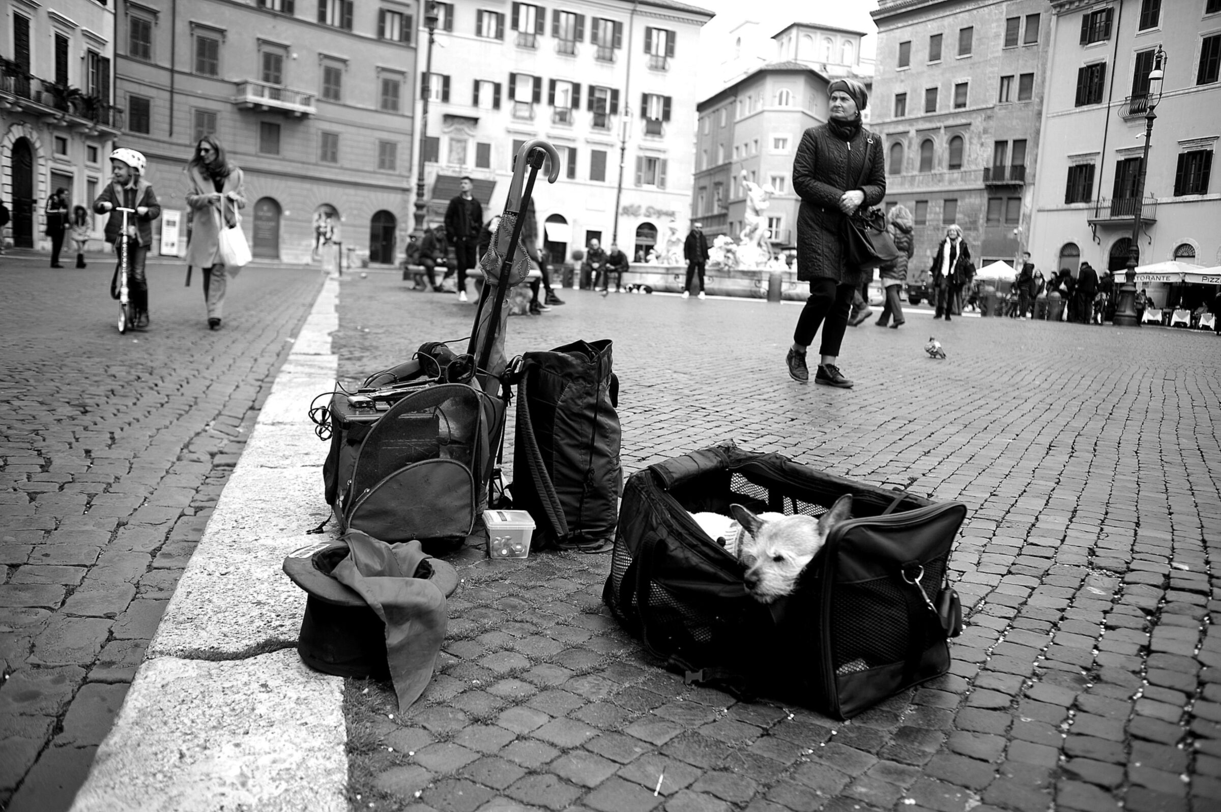 La cuccia