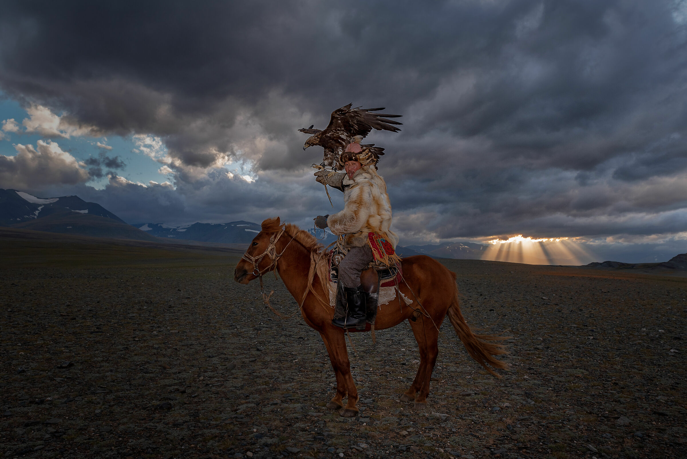 Kazakh eagle hunter