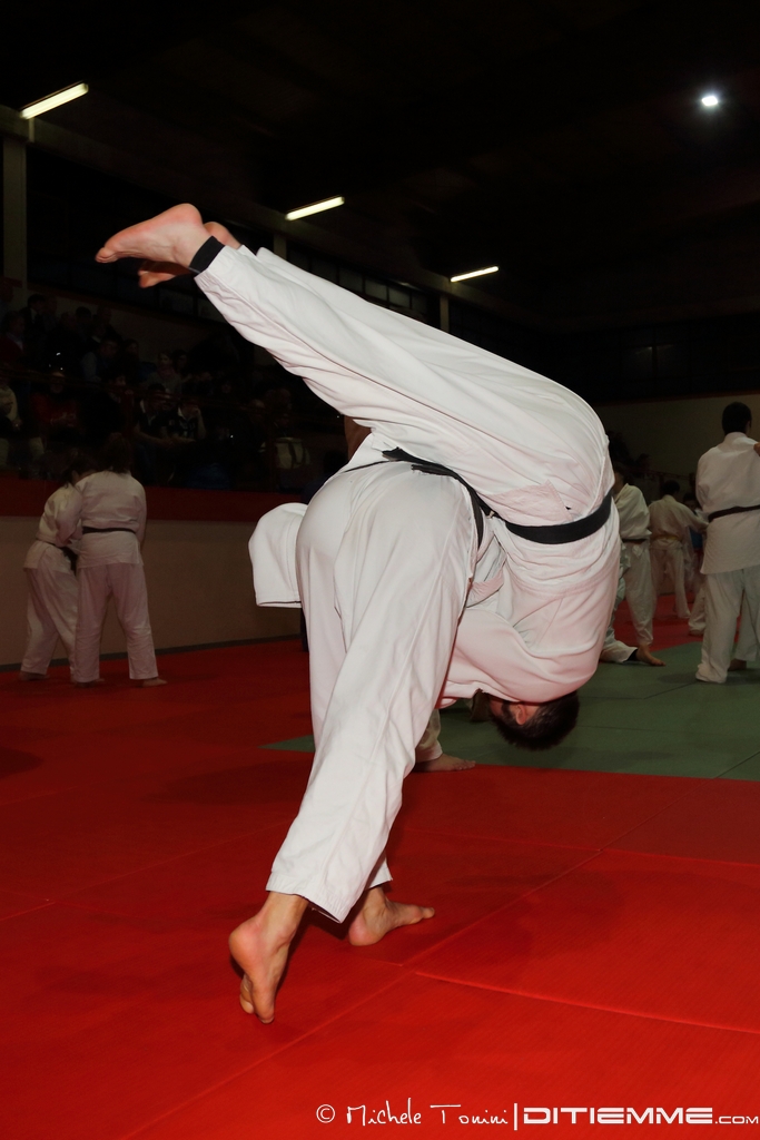 Judo Action 2
