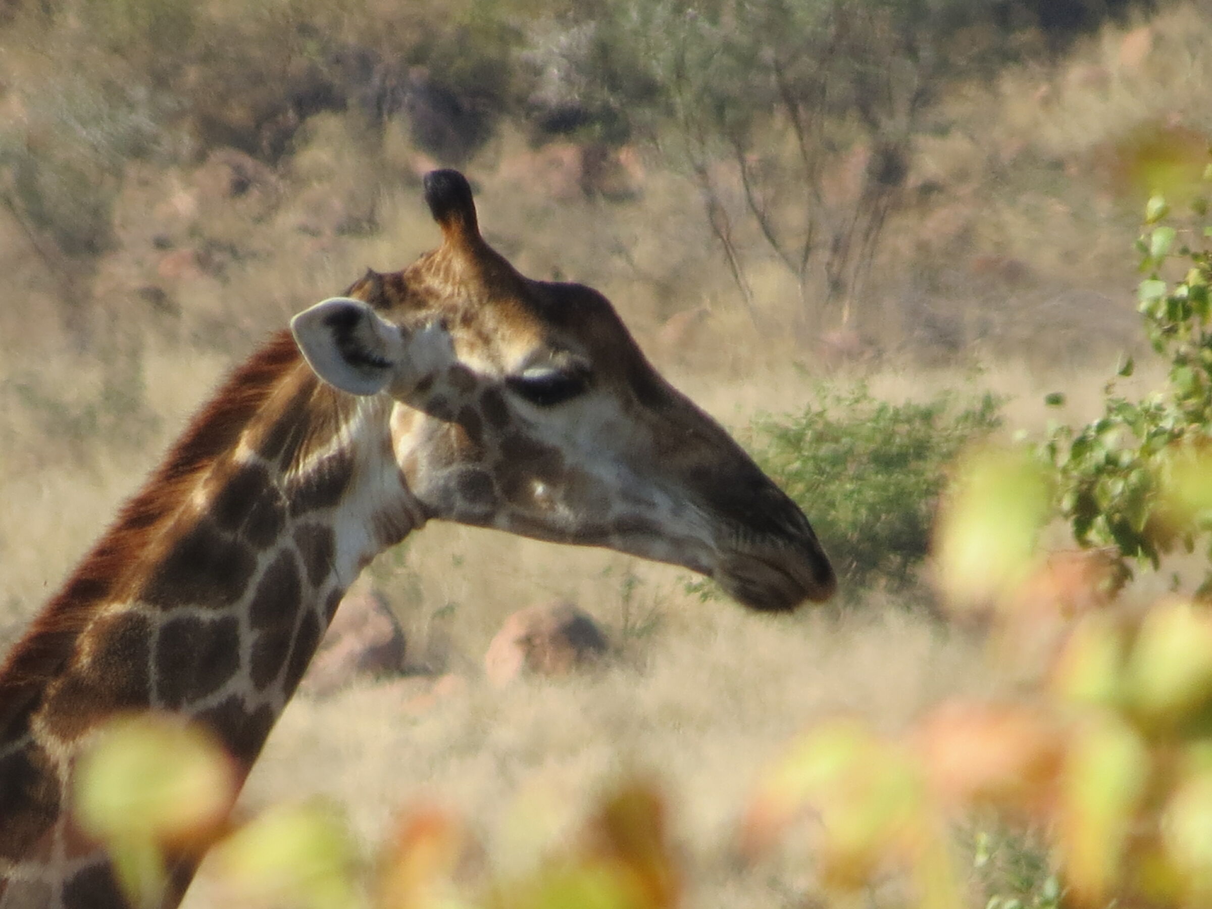 profile I get better
