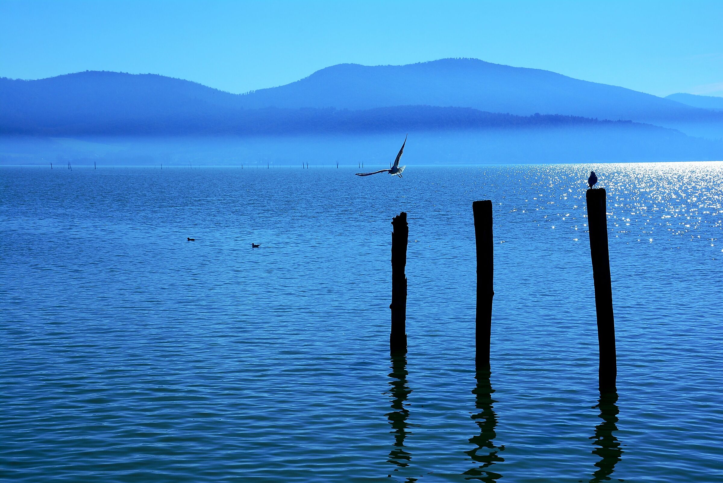 Trasimeno Blue