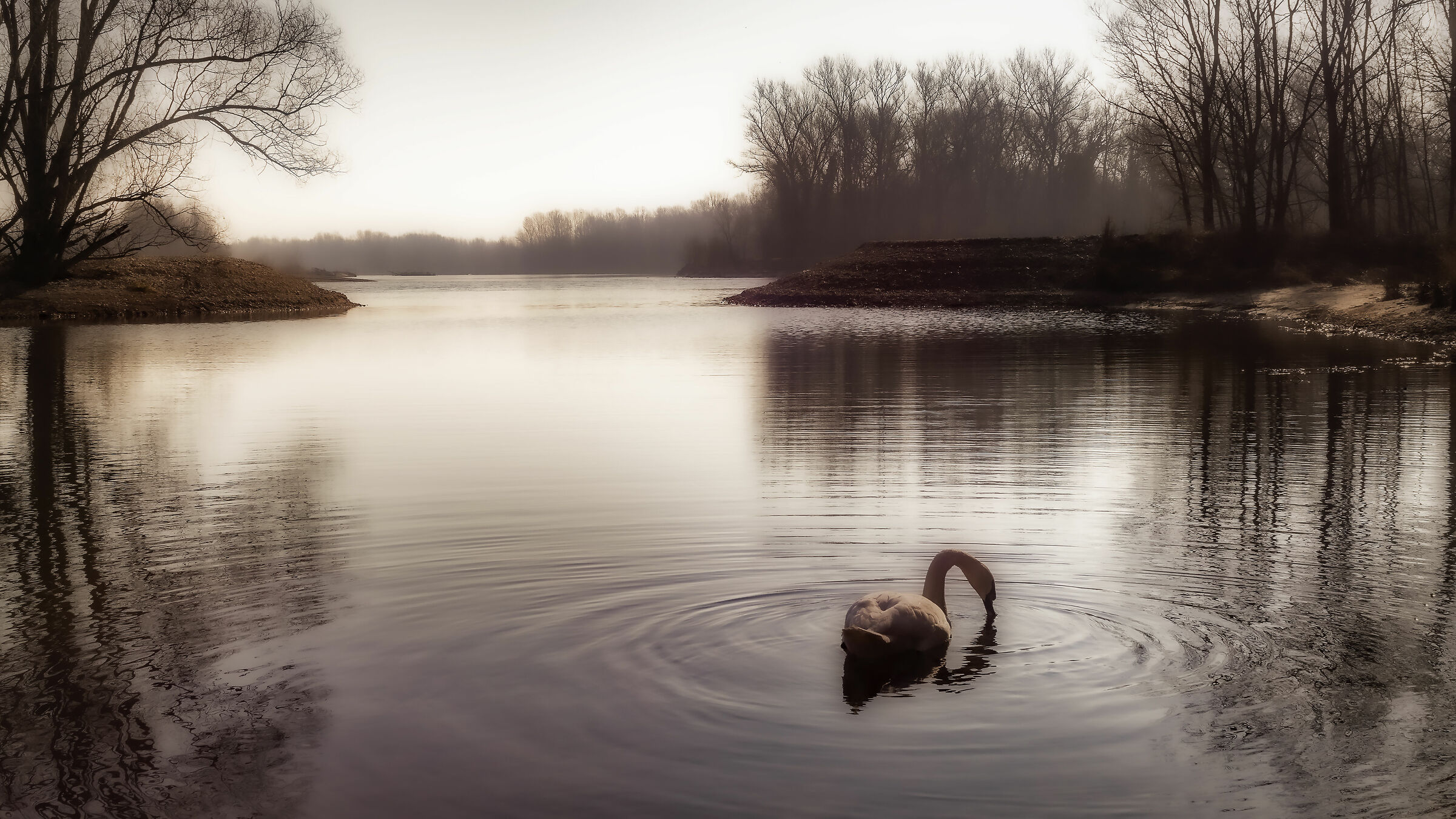 Everyone sees their own oches as swans