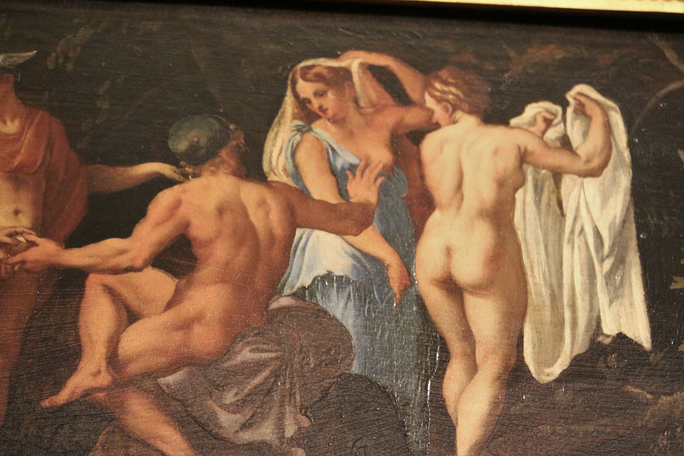 particolare m. reale