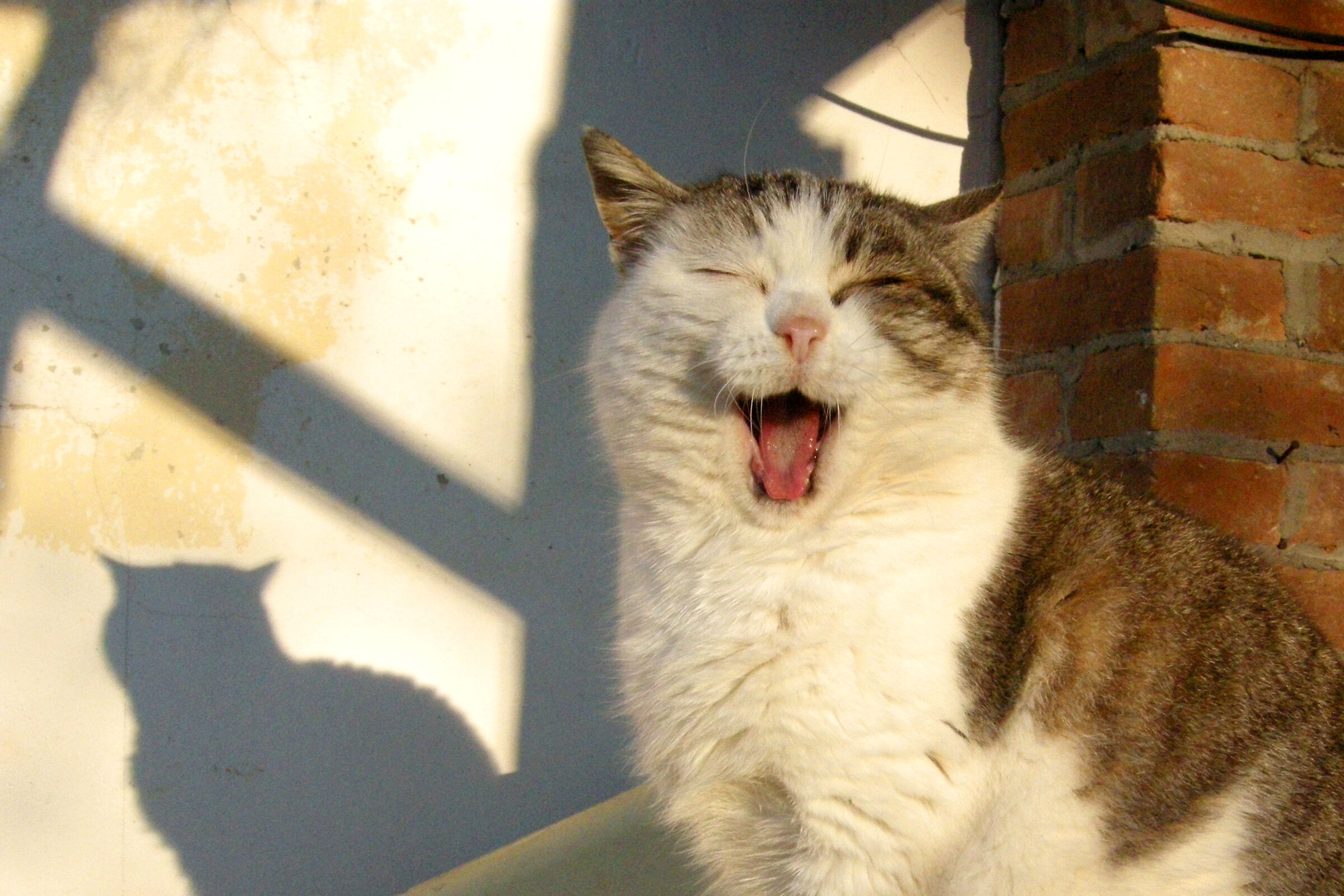 safari fotografico casalingo2