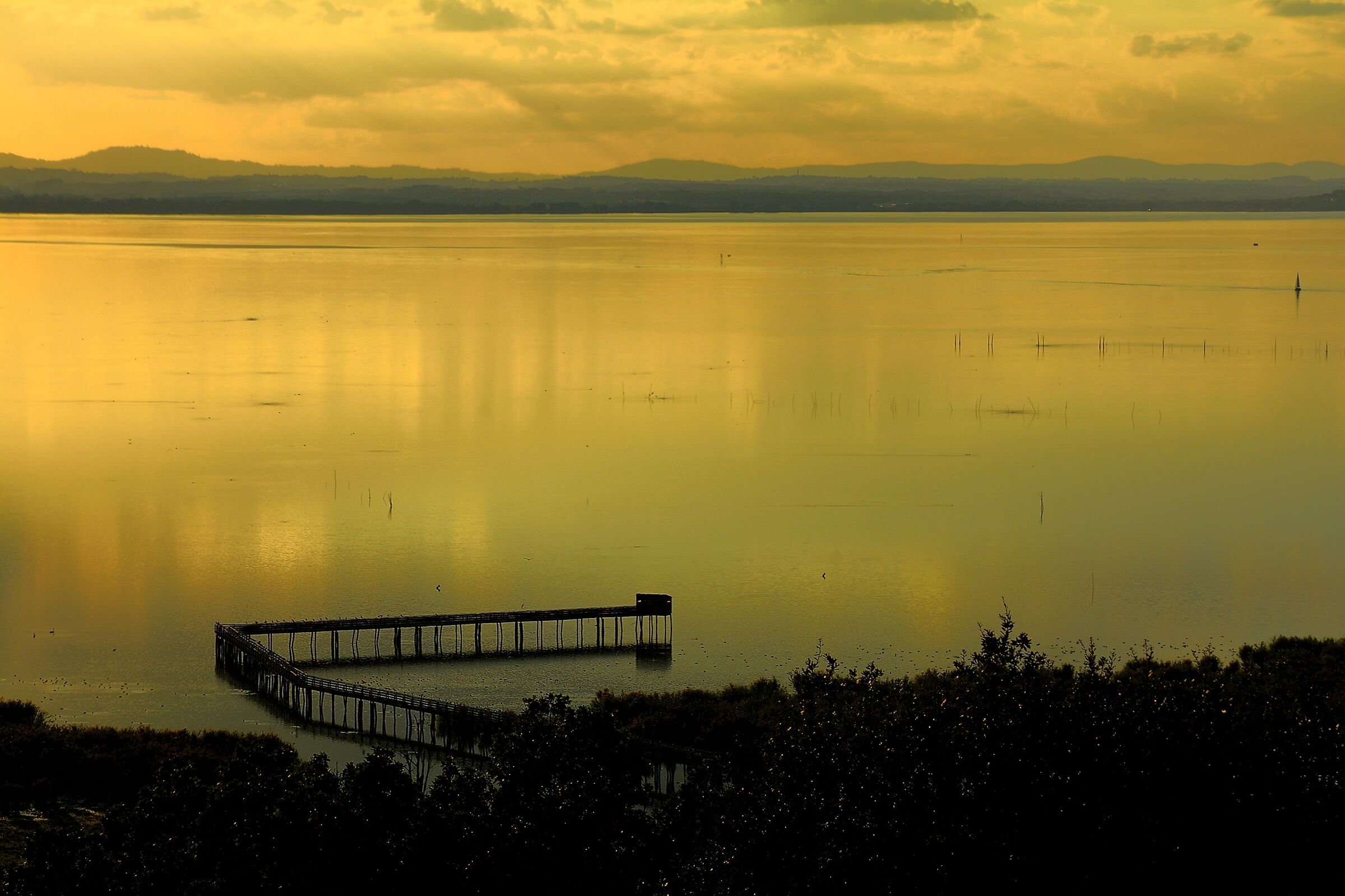 Trasimeno Giallo