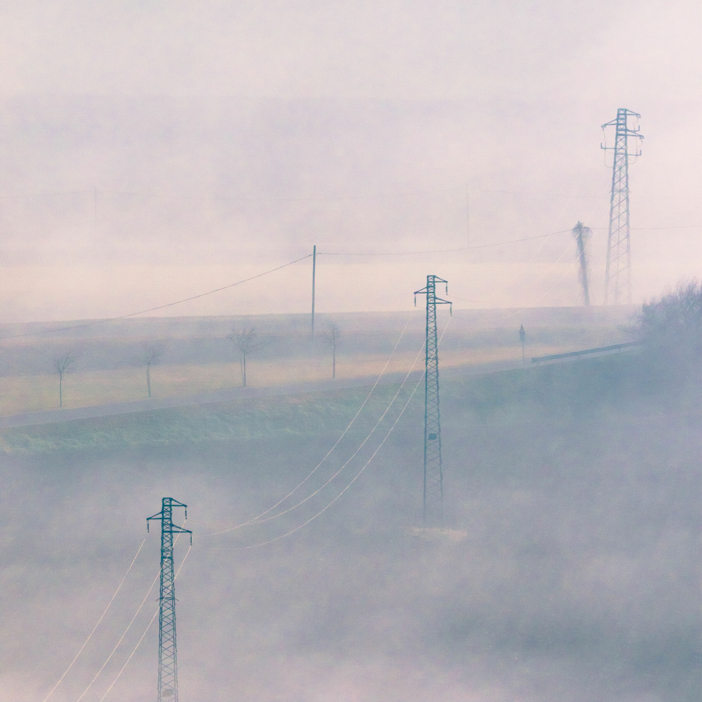 Untitled Photo
