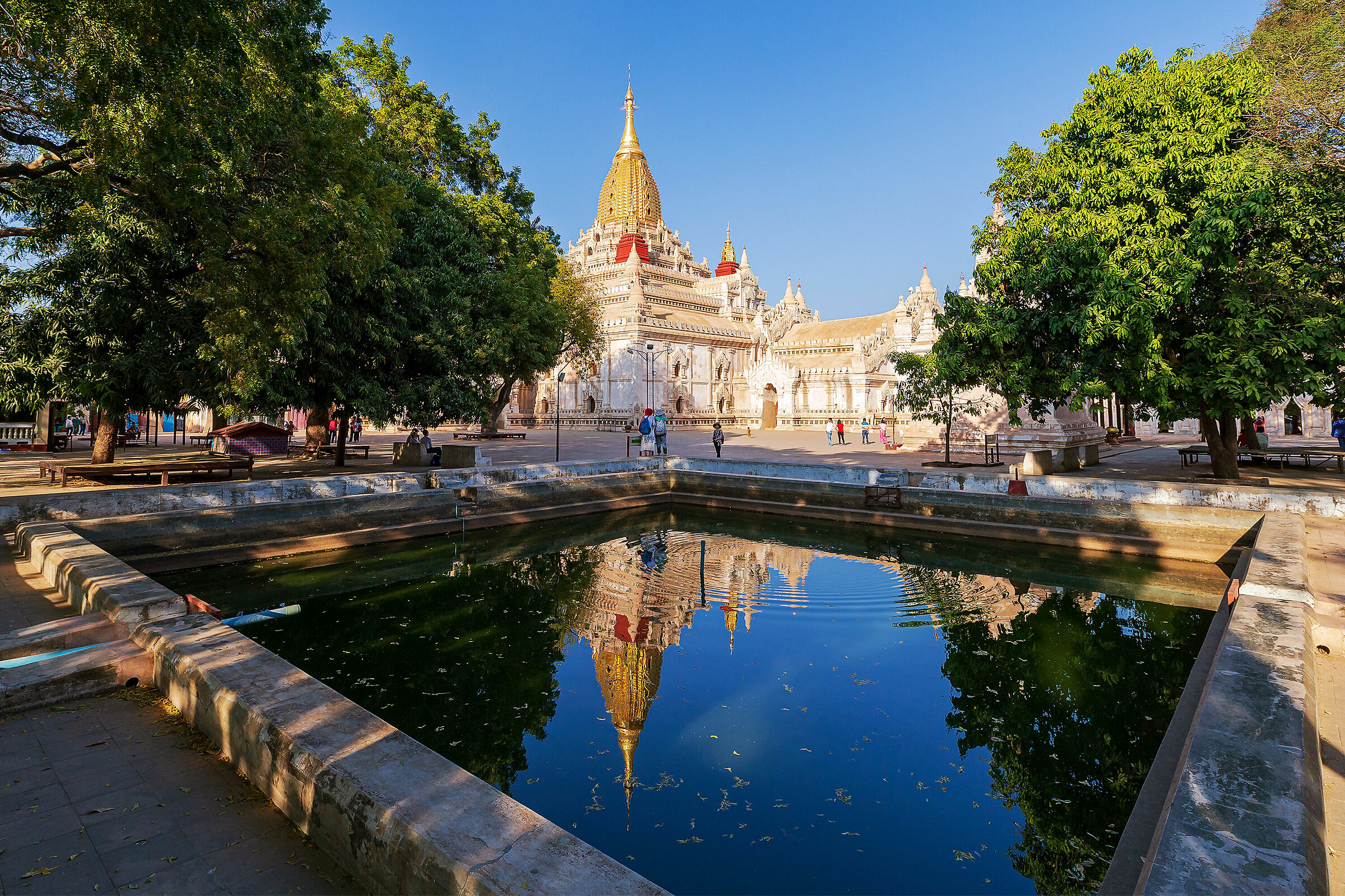 Riflessioni buddiste