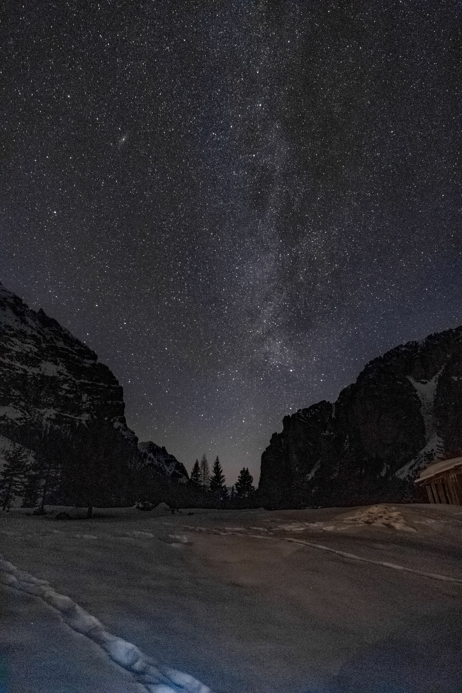 Stelle di capodanno 1