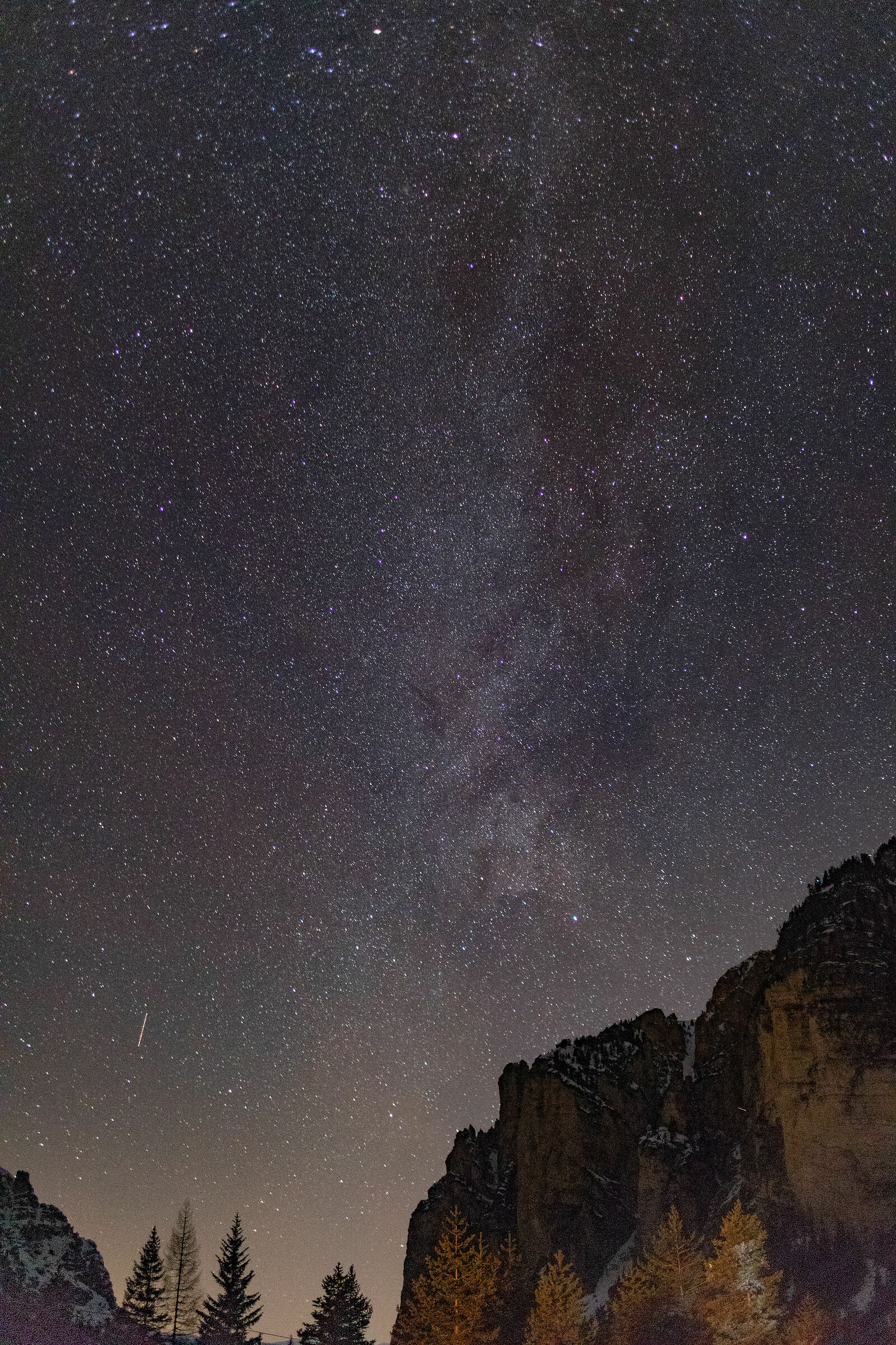 Stelle di capodanno 2