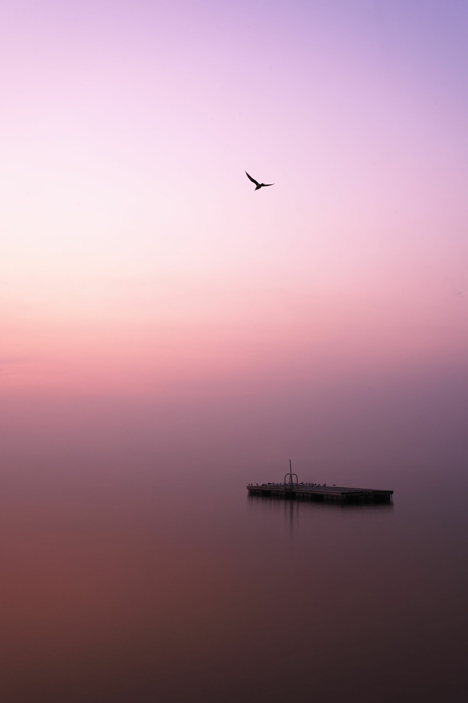 THE BEAUTY OF THE MIST ON THE LAKE