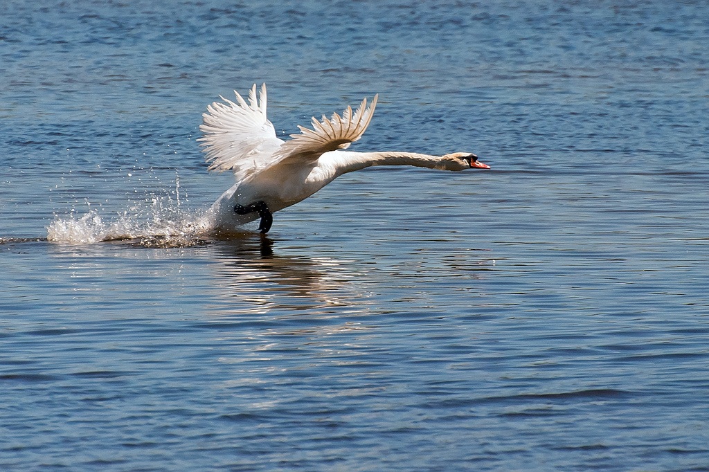 Takeoff at full load!
