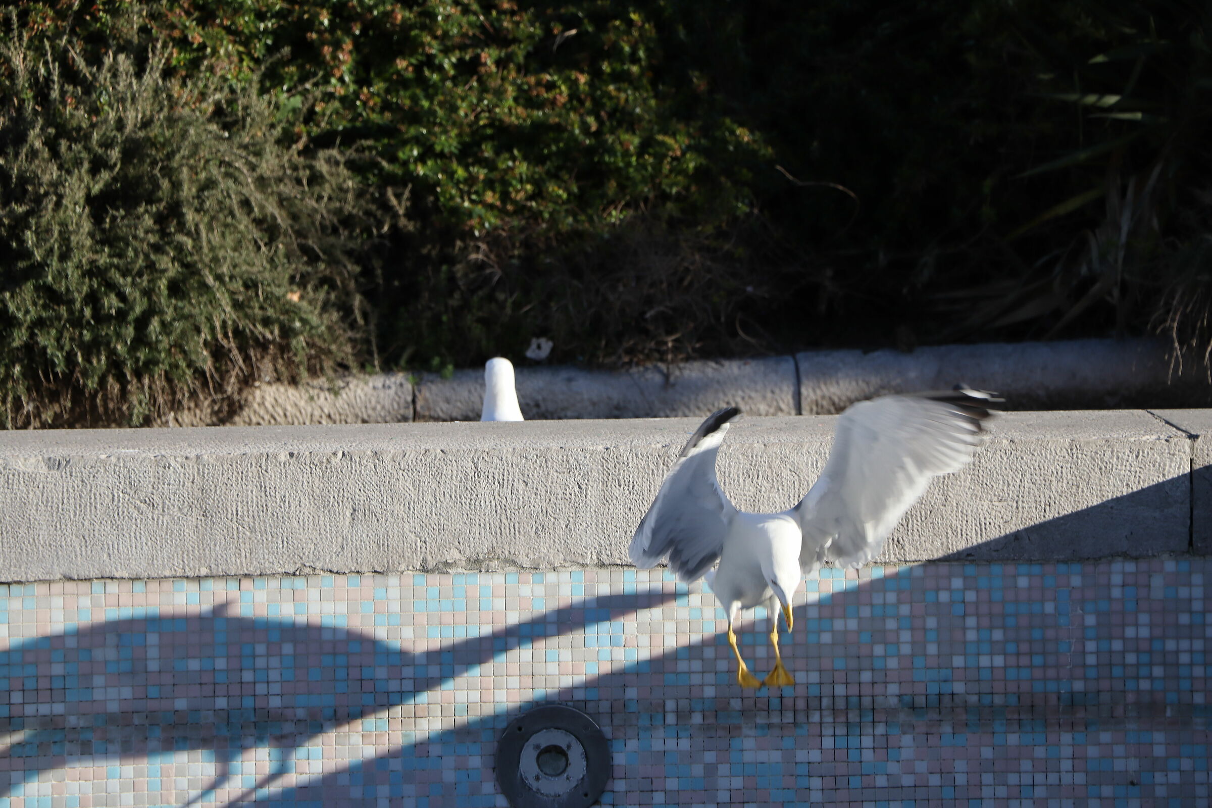 un tuffo dove l'acqua è più blu ...