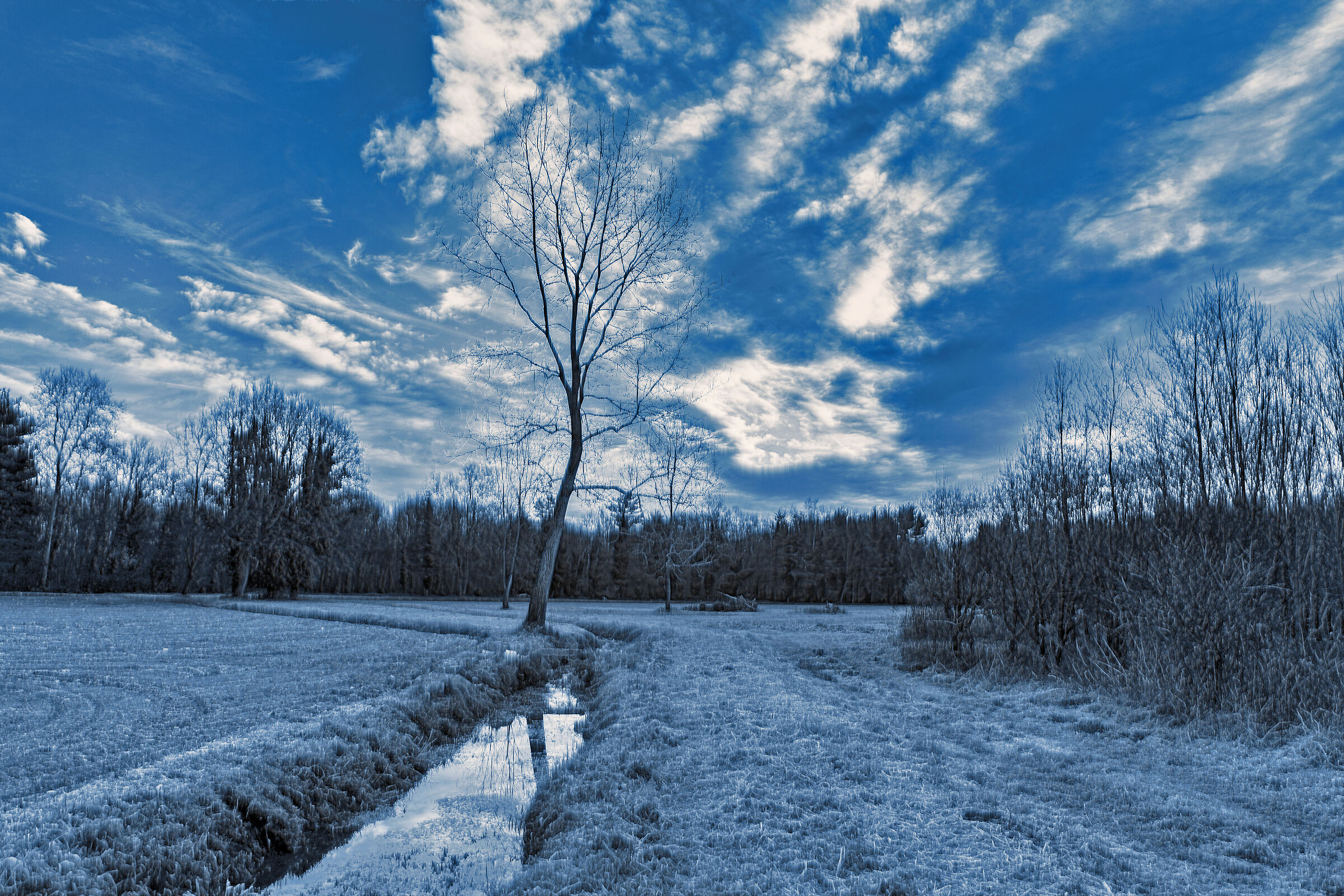 "ma che freddo fa, ma che freddo fa"