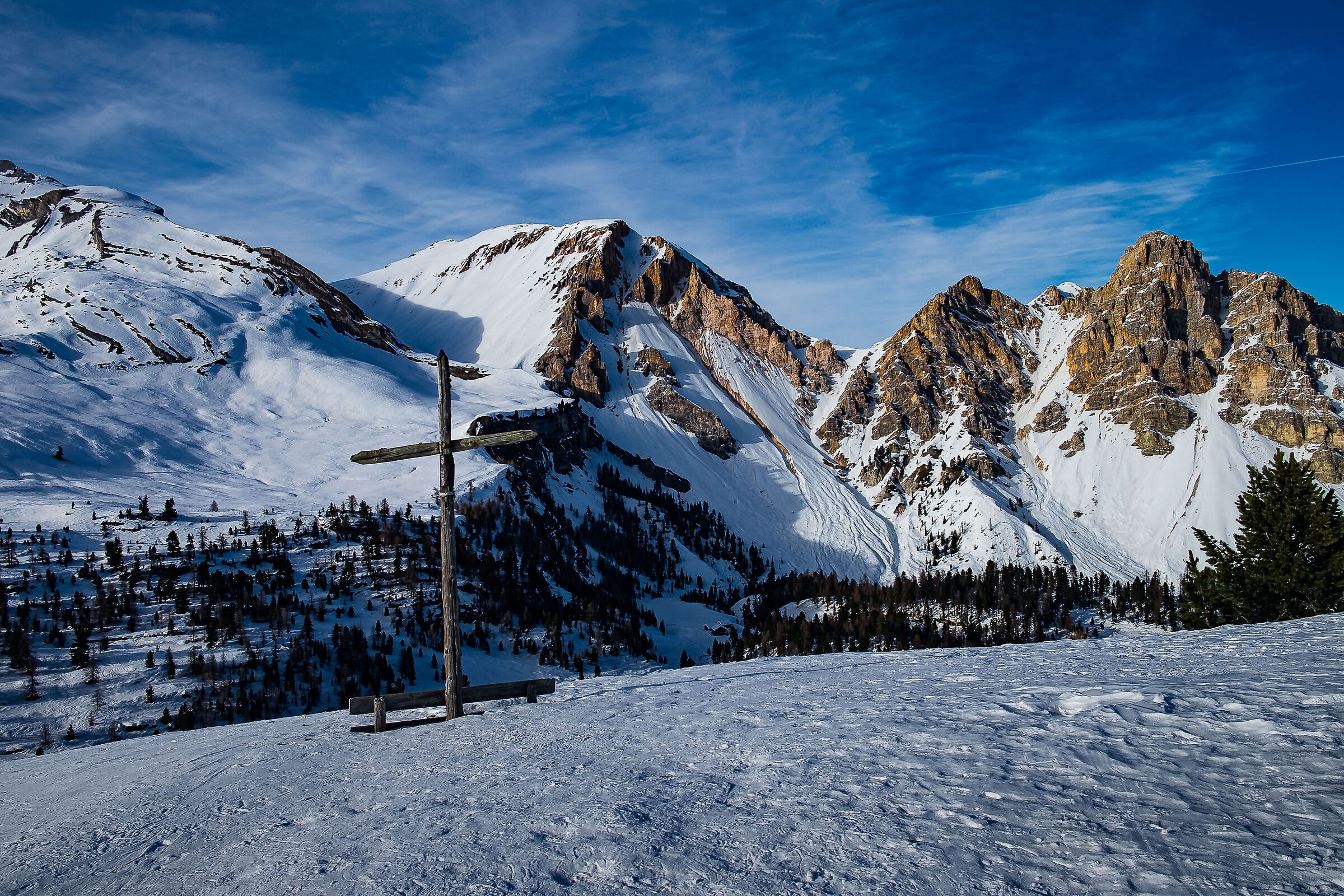 Dove c'è bellezza ......