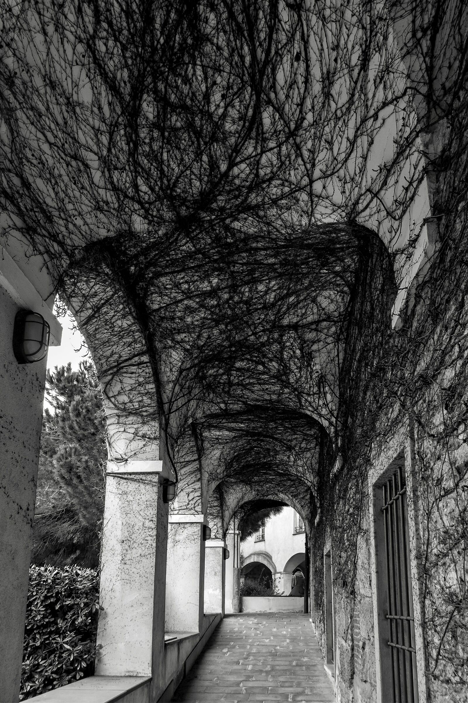 The Thread of Reason