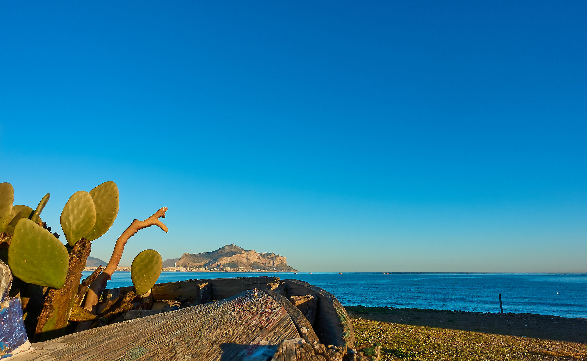 Palermo: early morning at bandita