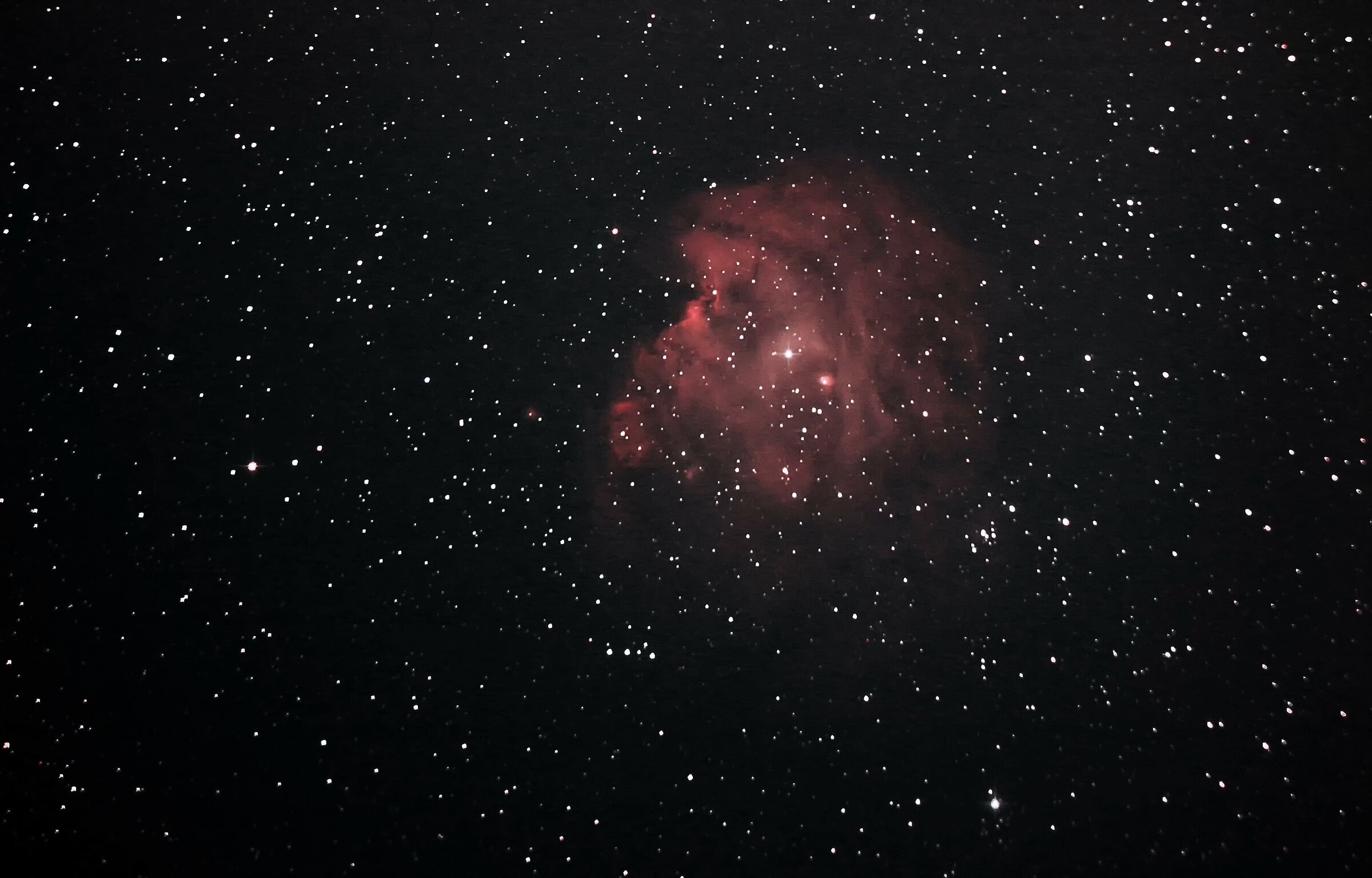 Testa di scimmia NGC 2174 in Orione