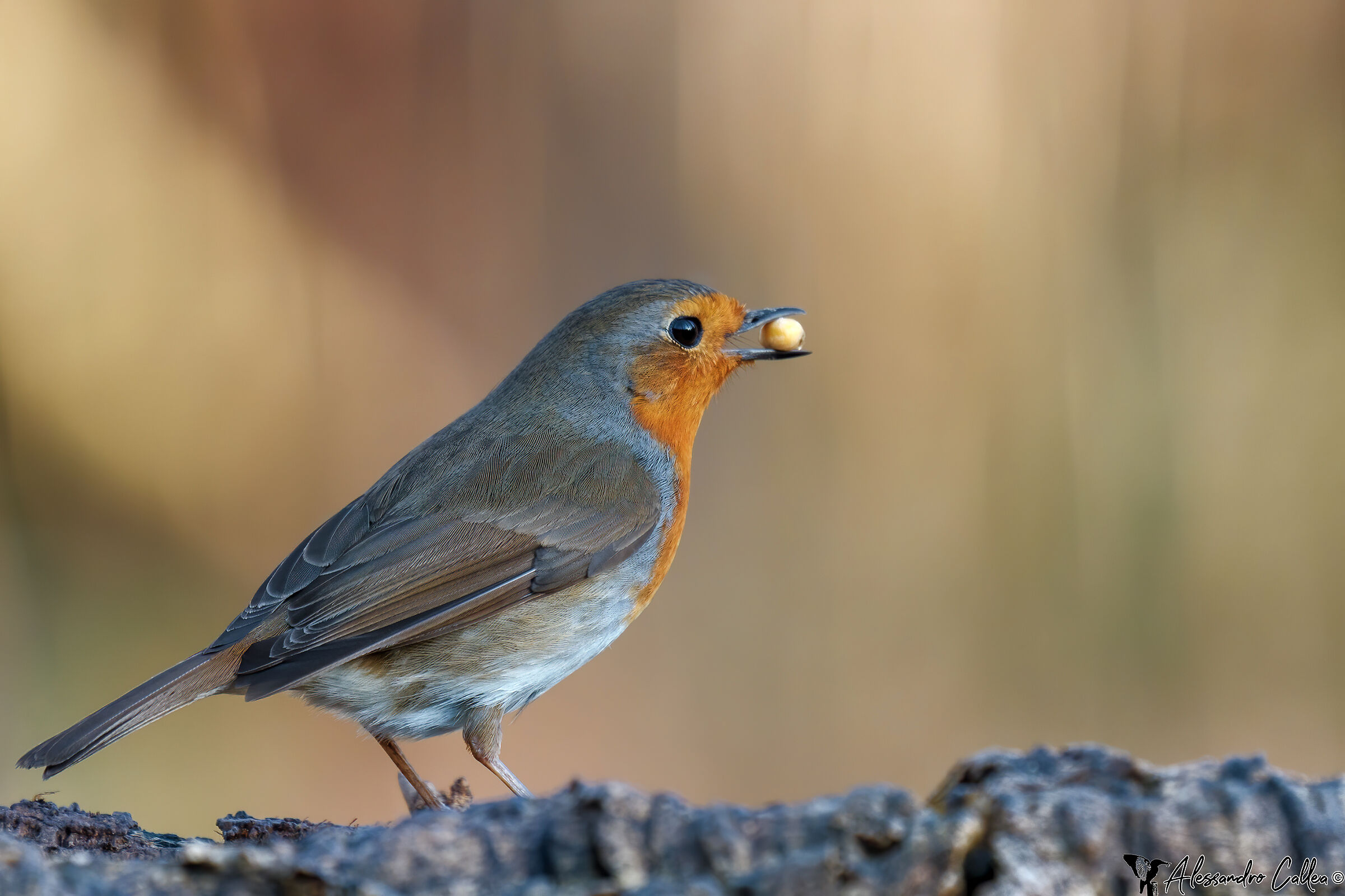 Greedy Robin