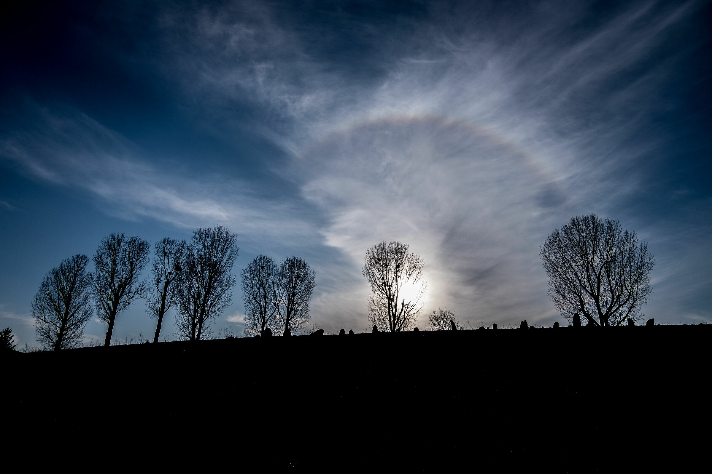 Halo