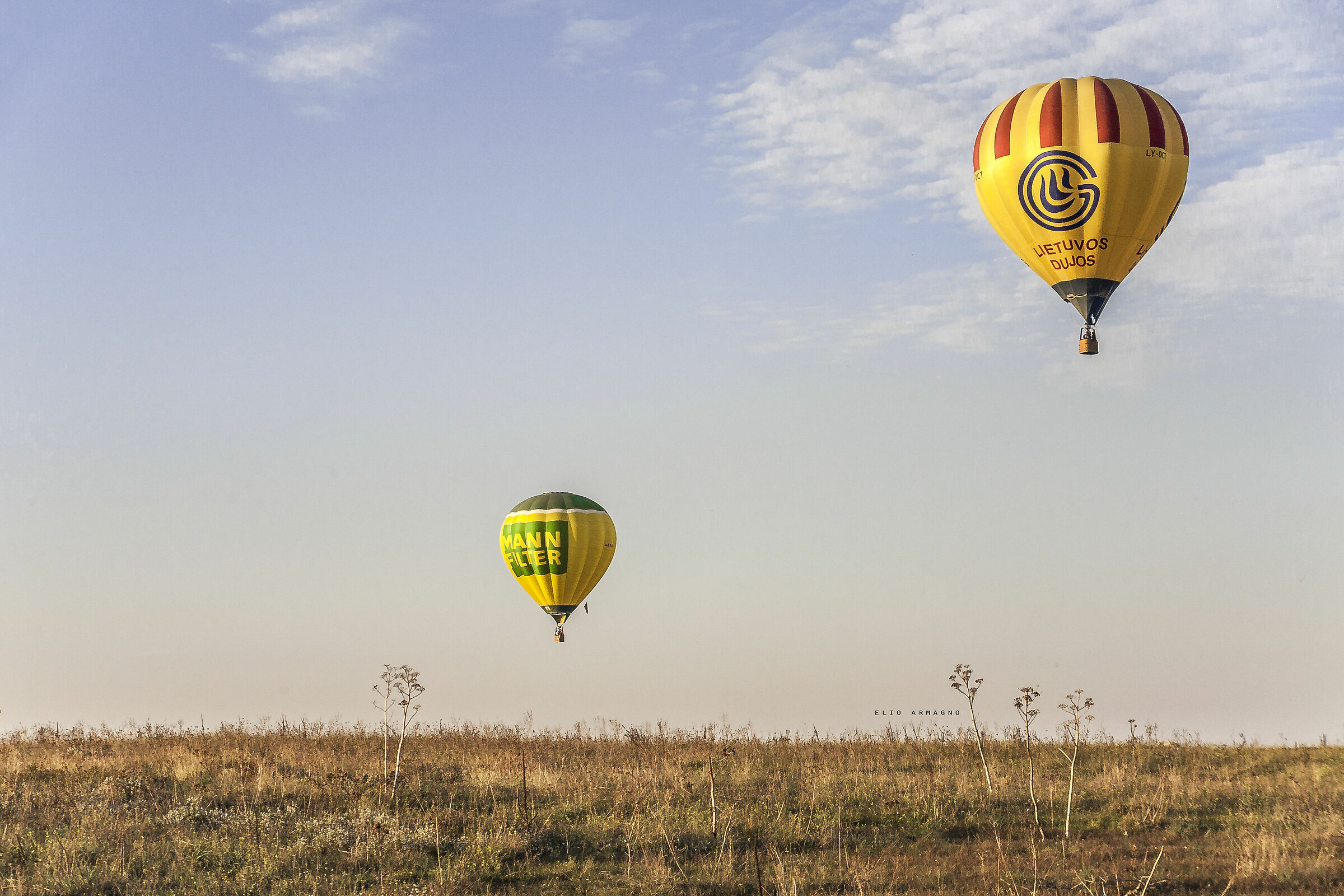 Sogno di un pomeriggio di mezza estate