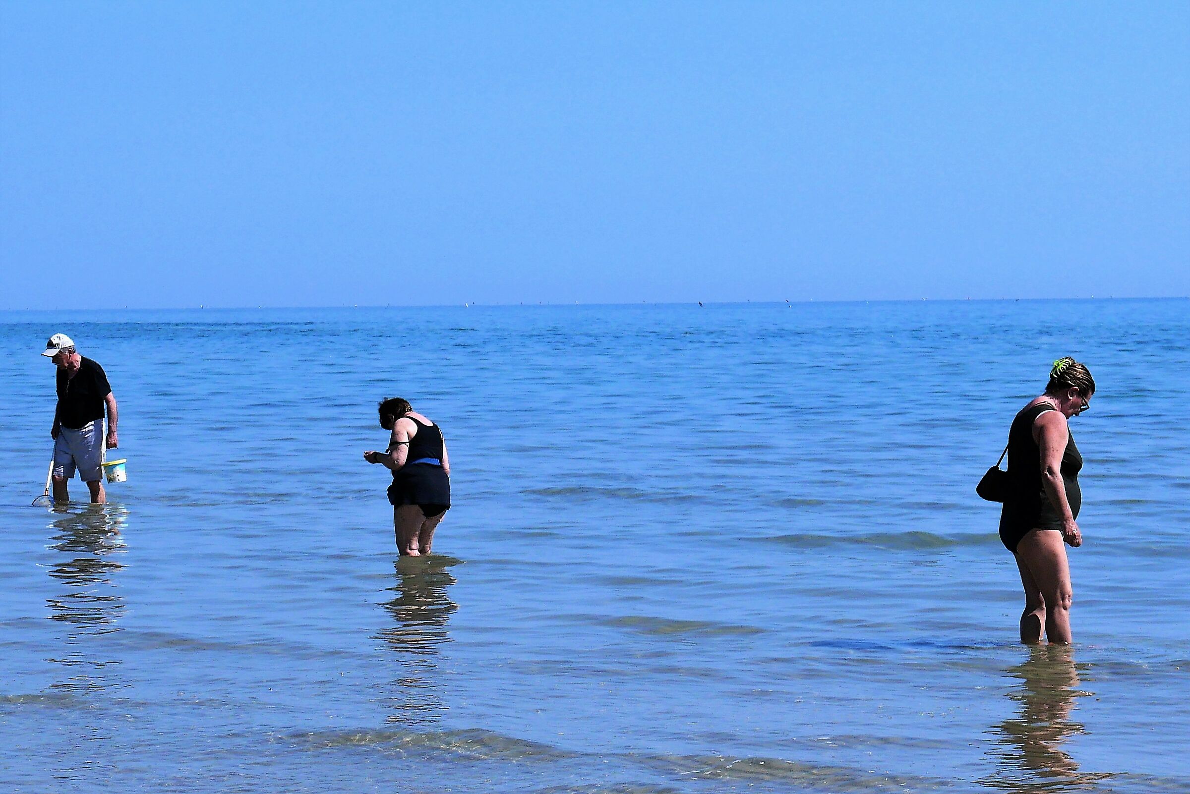 Don't say Cat, if it's not in your bag!