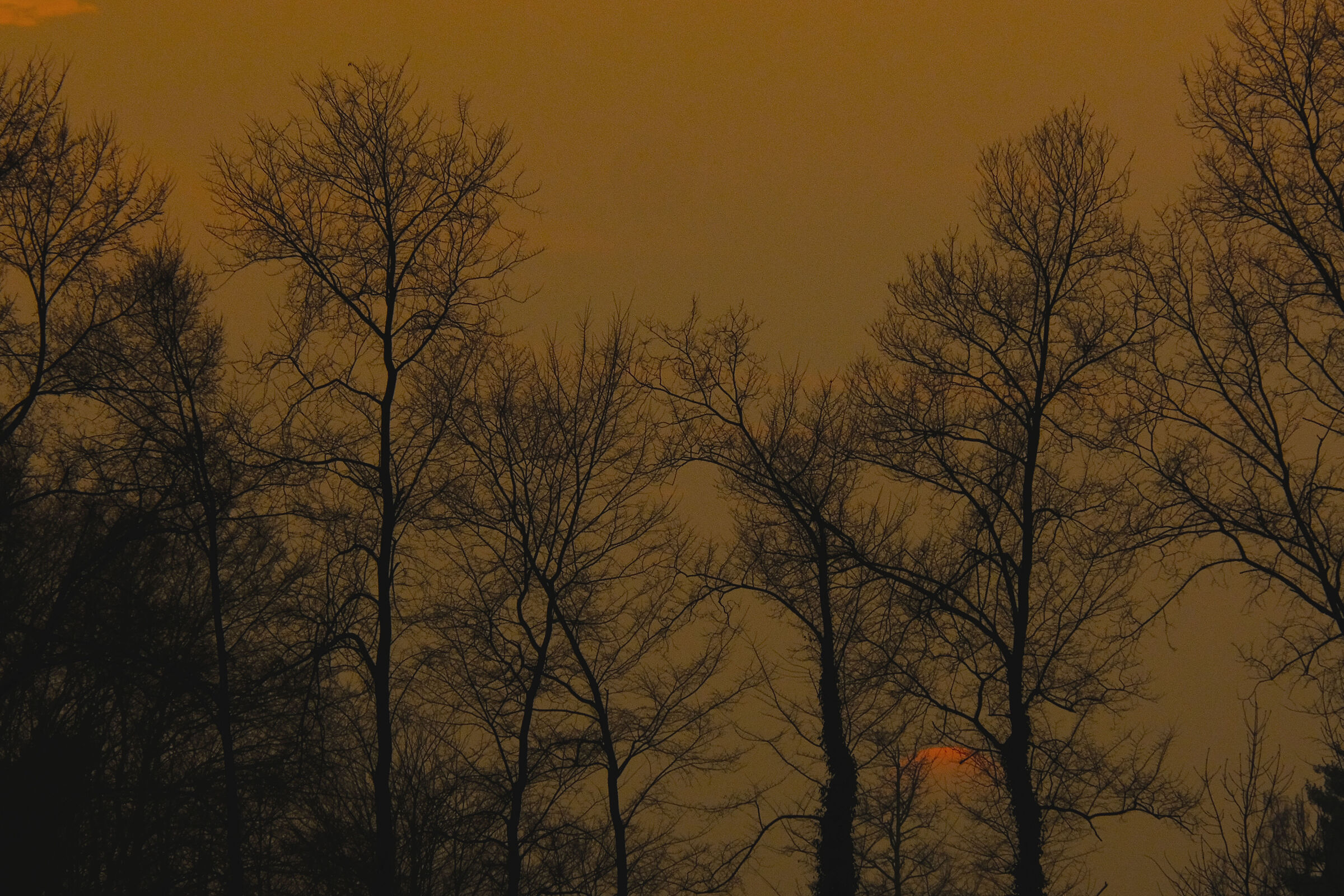 Ed è subito sera....