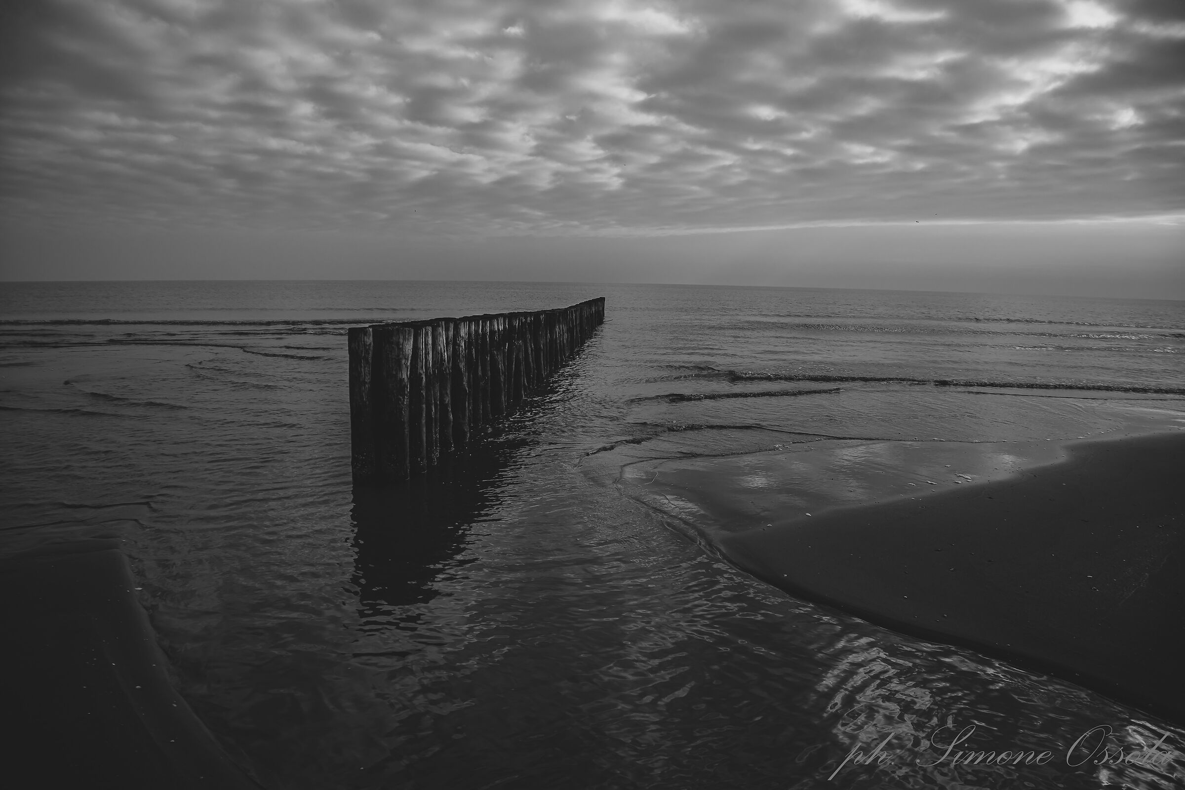 The where the river meets the sea