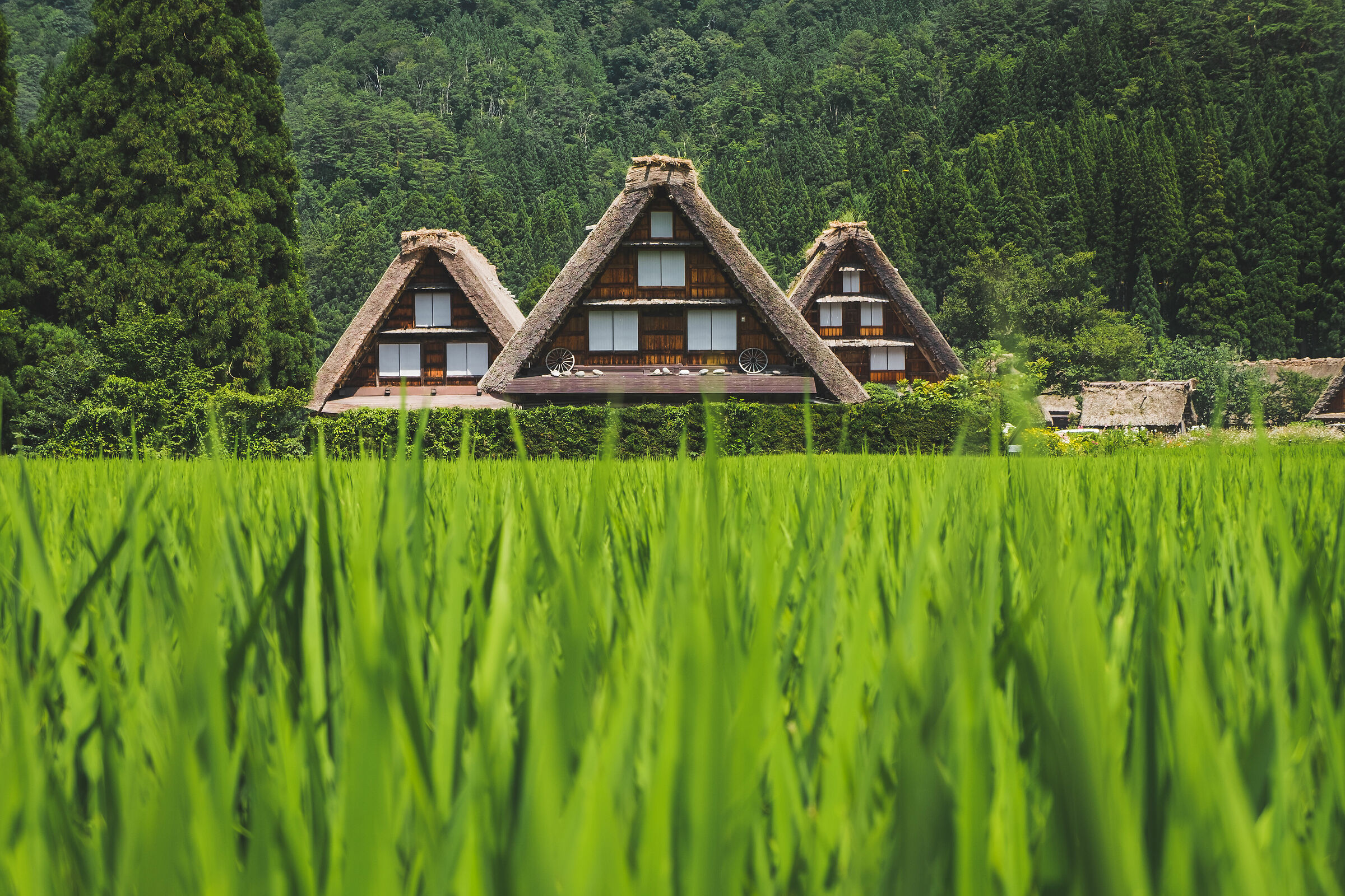 Shirakawa-go