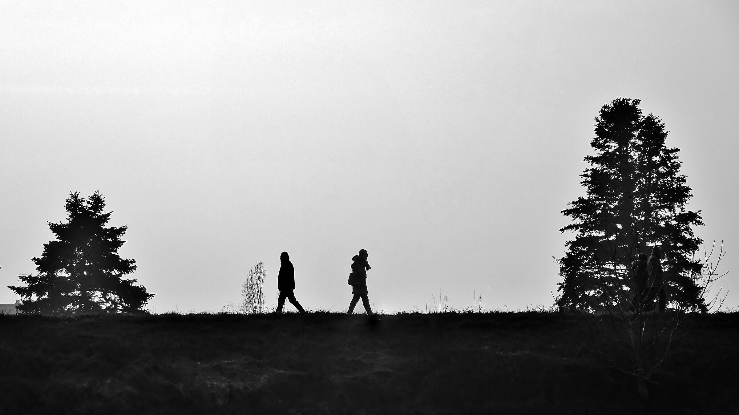 Sul sentiero dell'argine dell'Adige