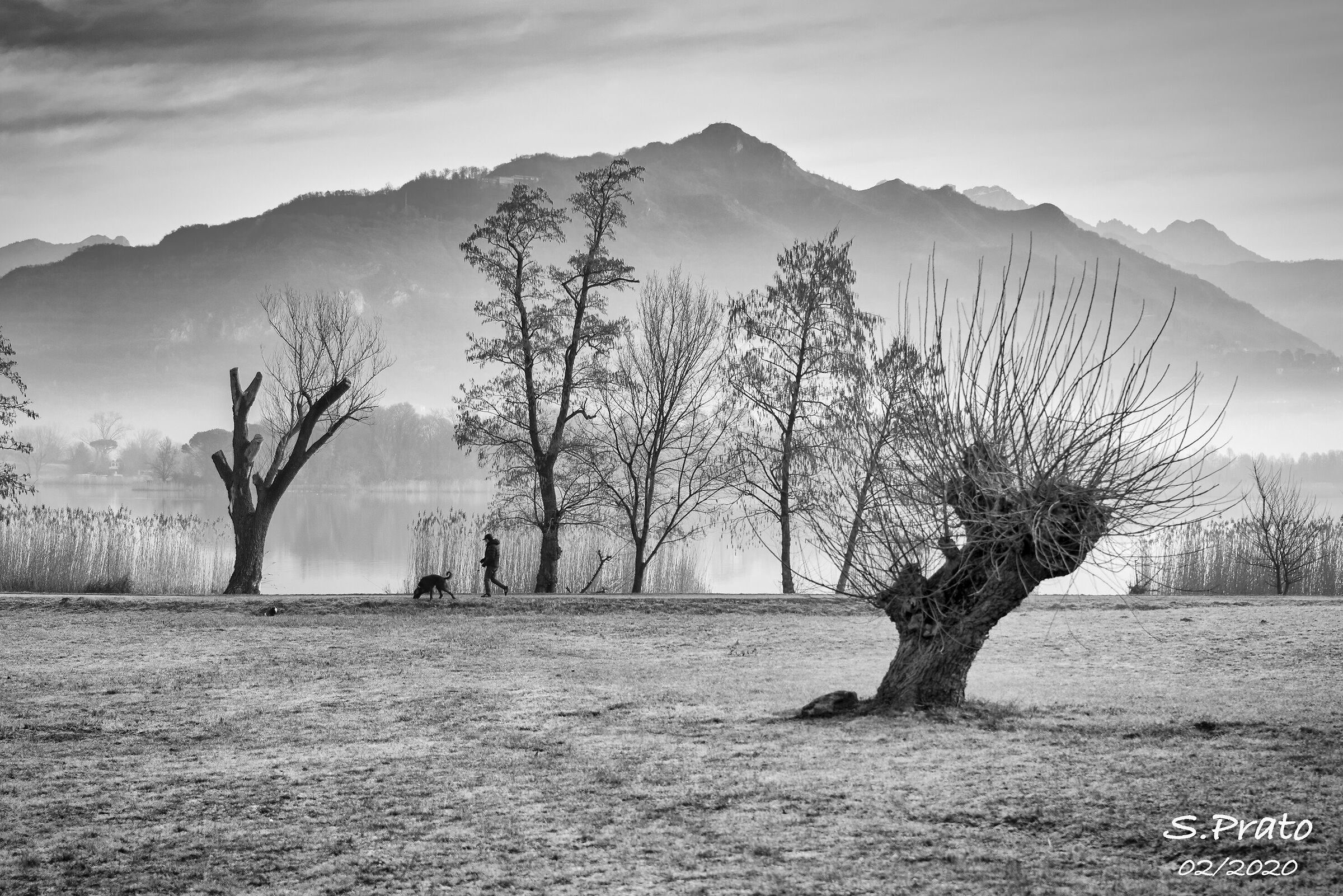 Passeggiata con amico