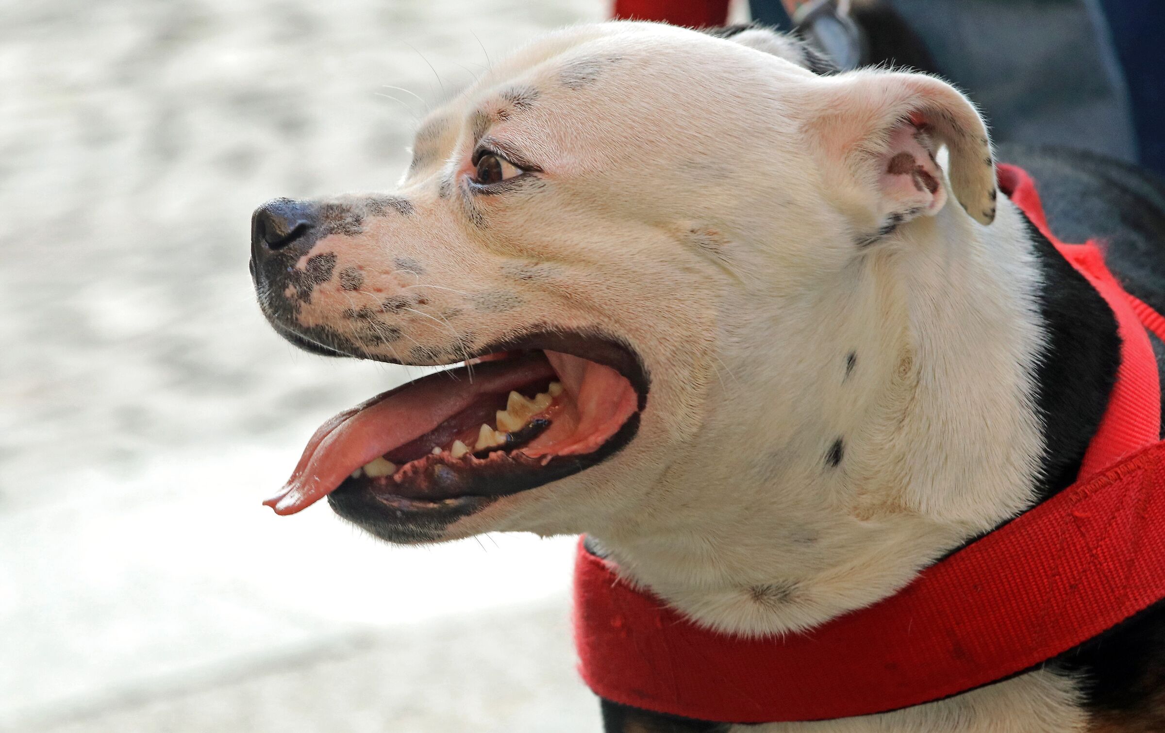 Avvicinarsi ma non troppo  ....