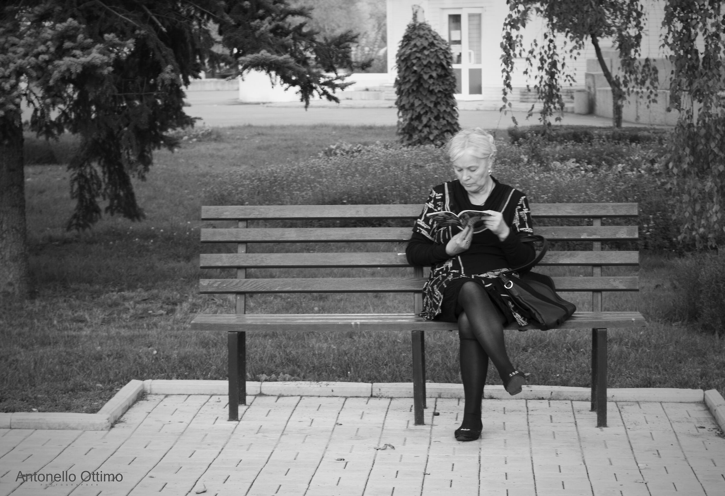 Assorta nella lettura