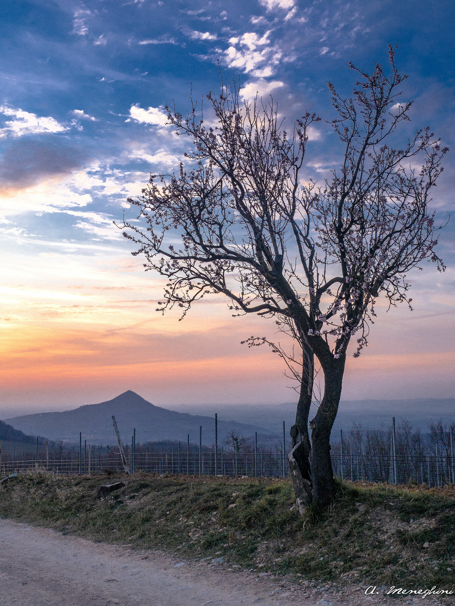 Monte Fasolo, Primavera in anticipo