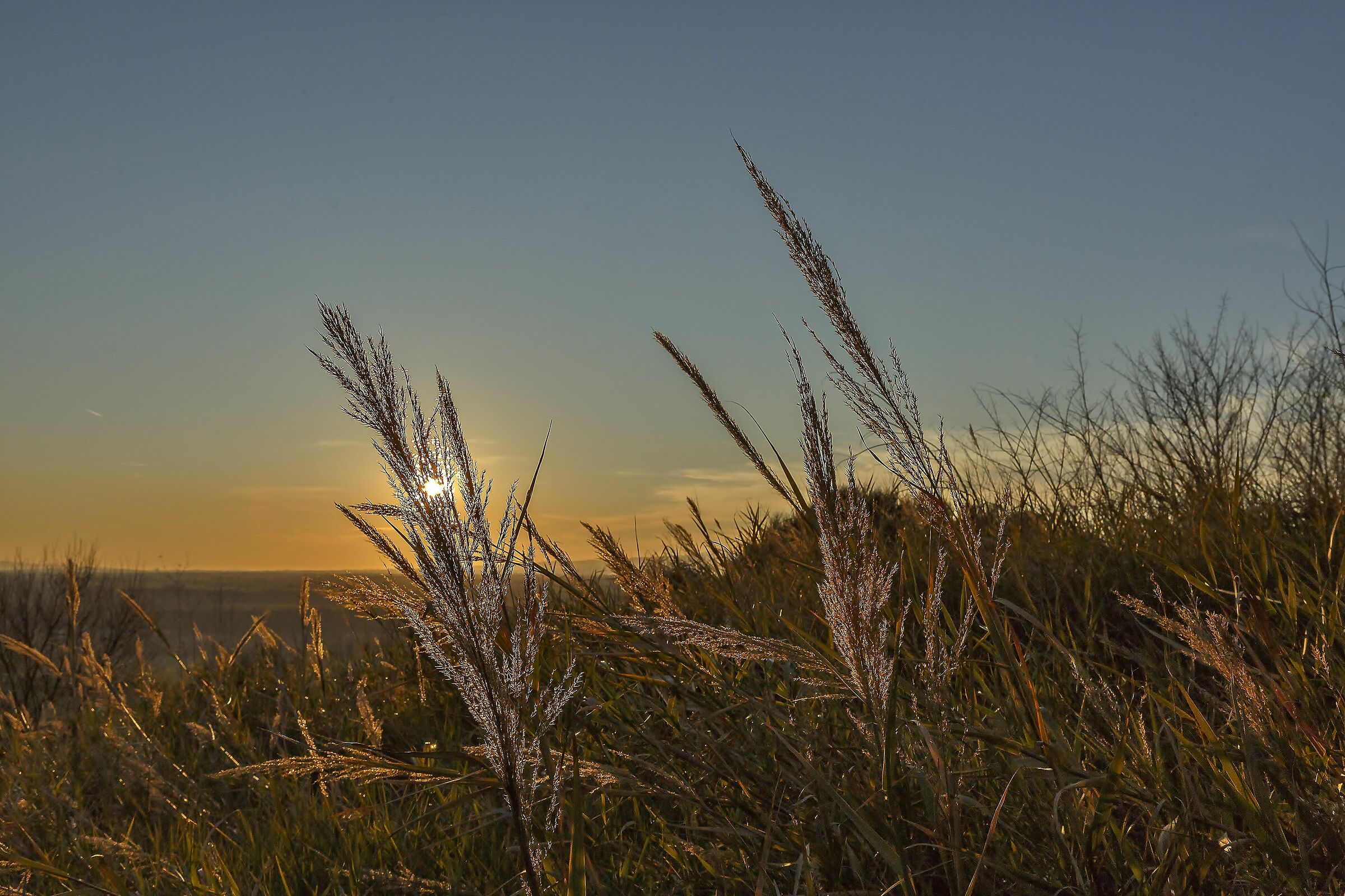 Un pomeriggio tornando a casa