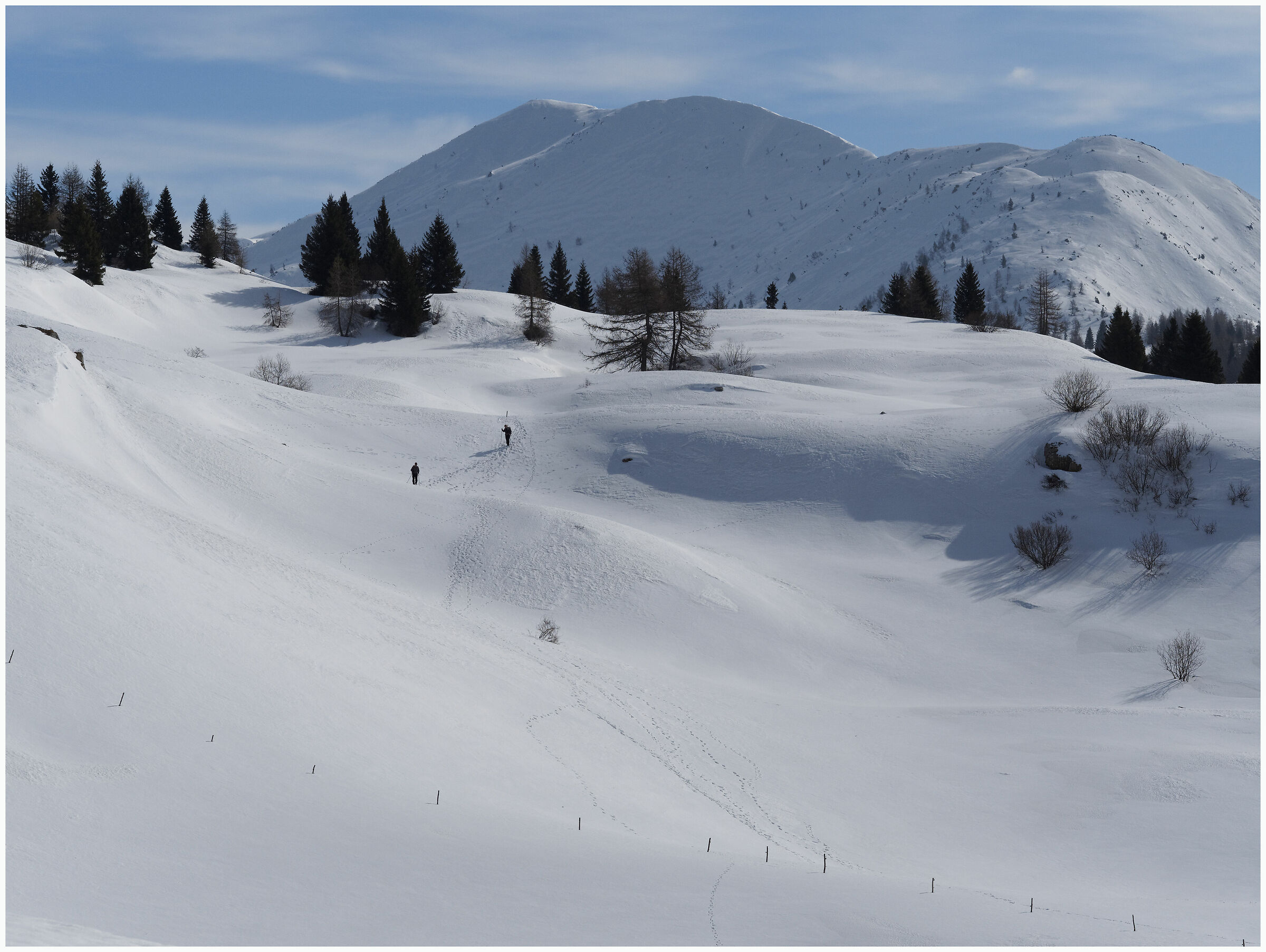 camminare nel bianco
