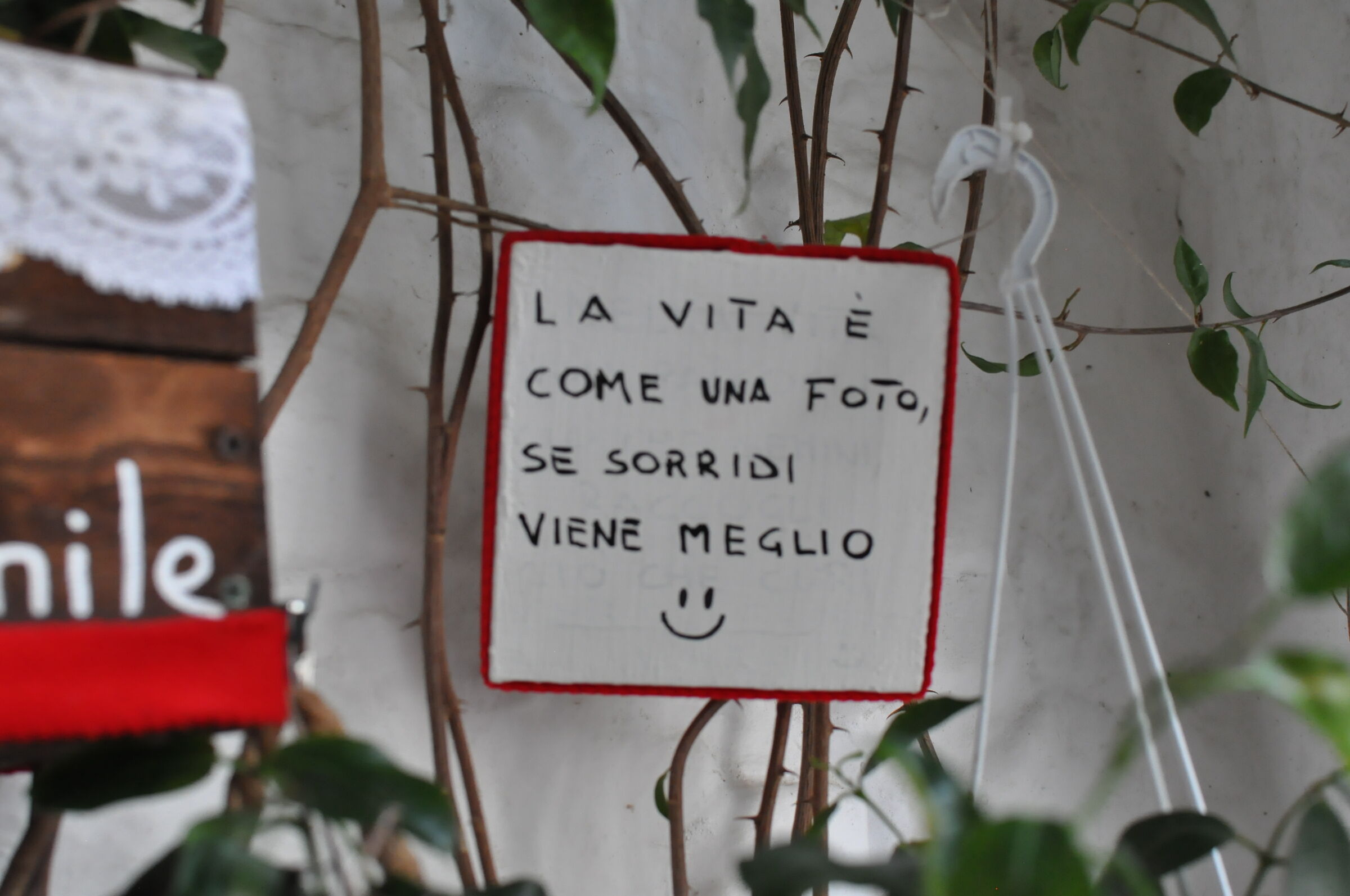 Christmas in Locorotondo 3