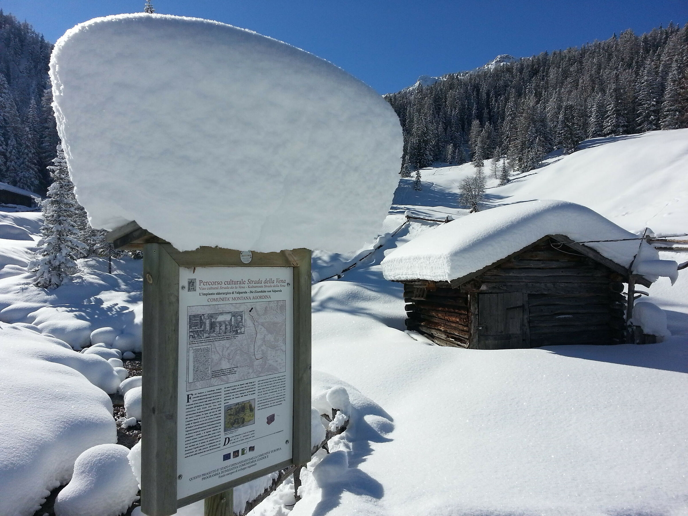 That snowfall of 2015