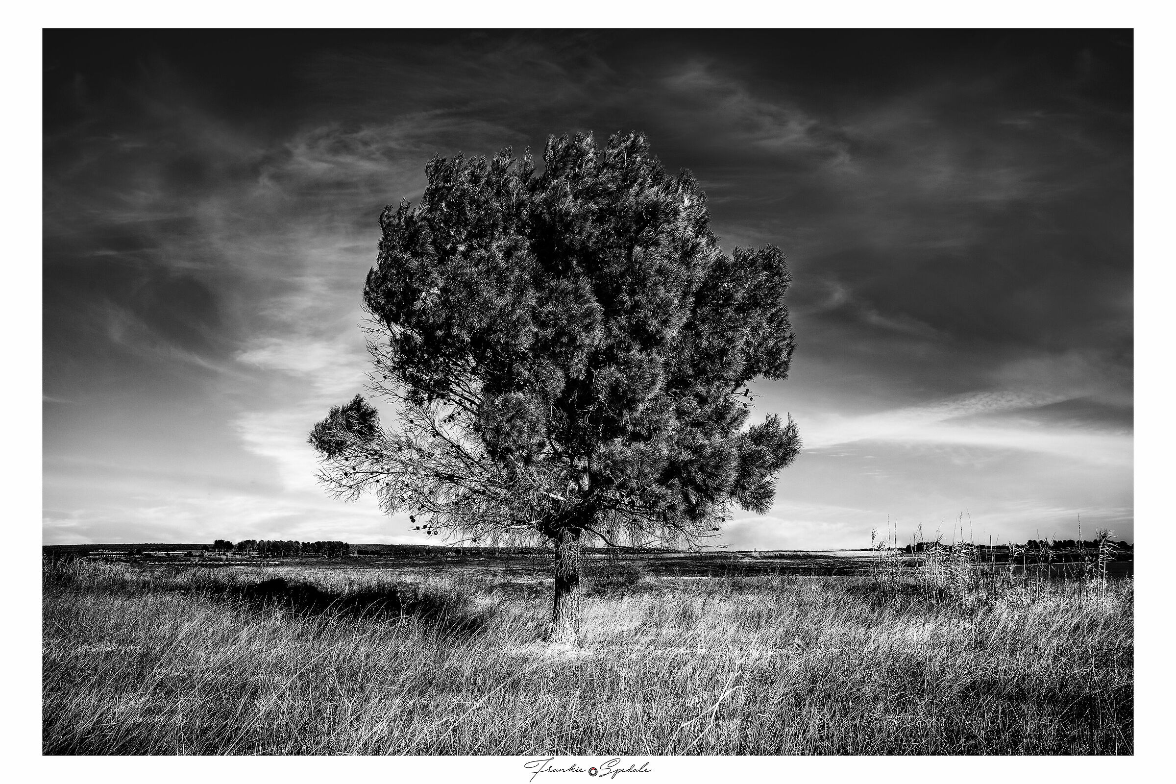 Presso il lago Pappadai