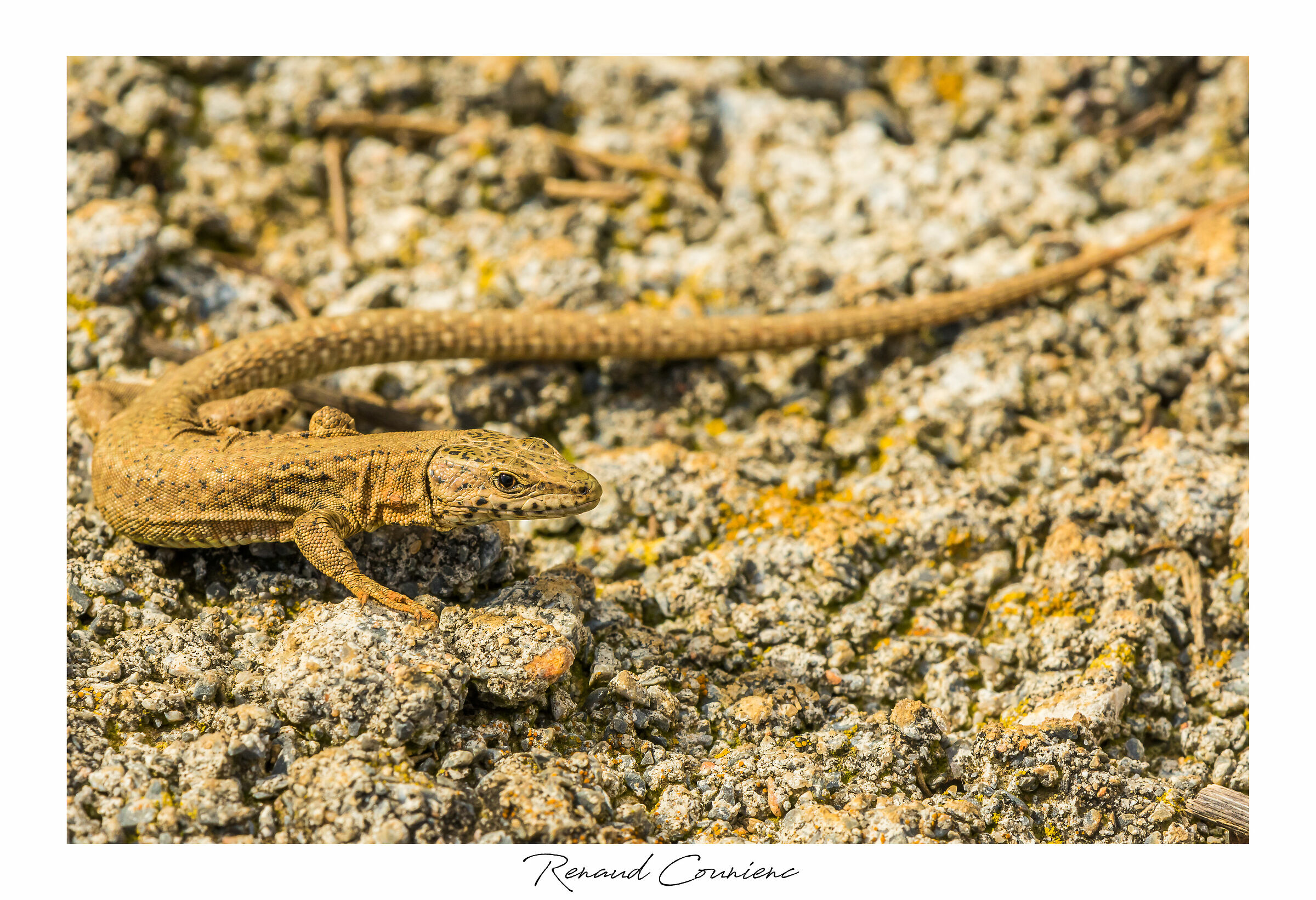 21° winter, the opportunity to sunbathe