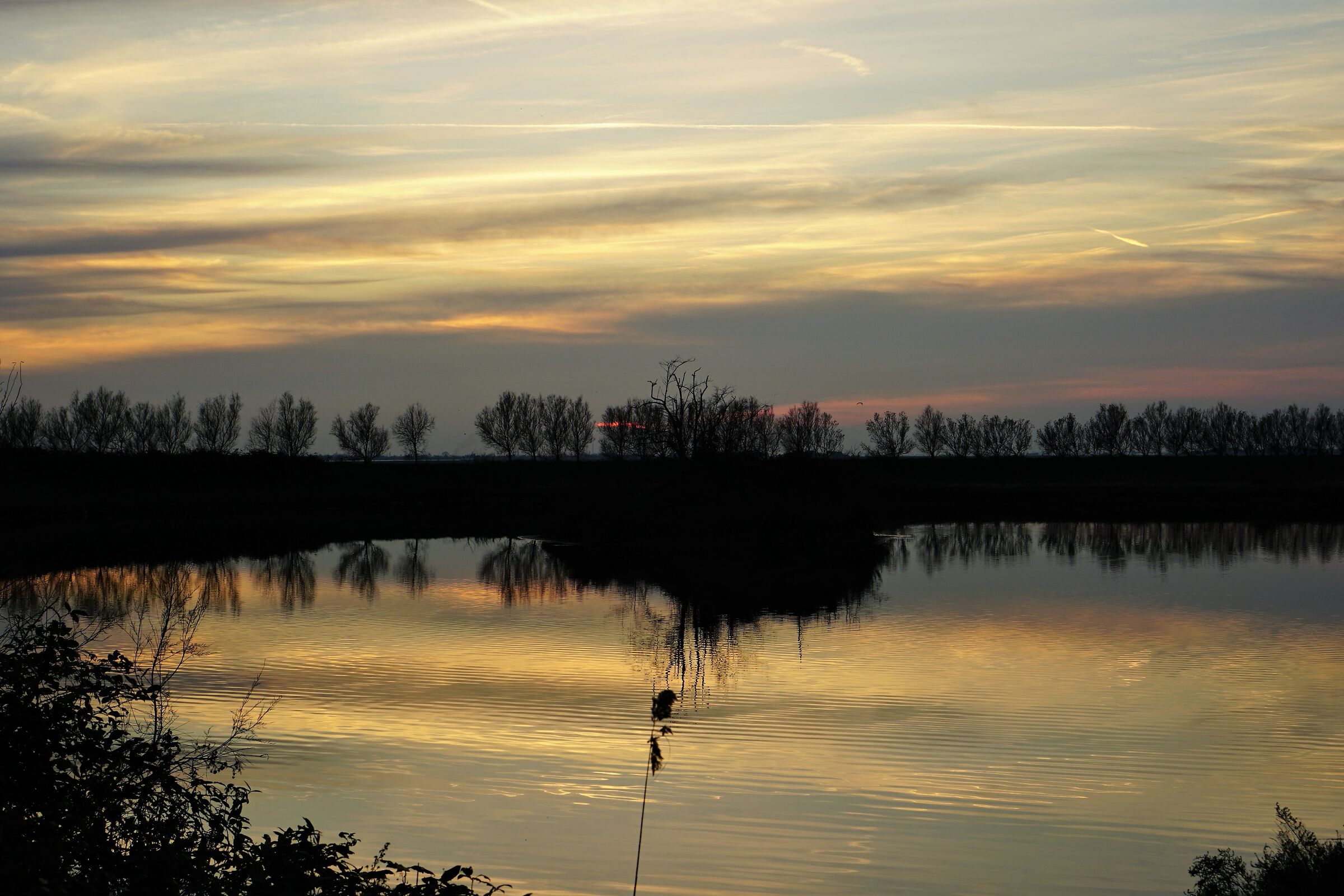 Lio Piccolo - Laguna di Venezia