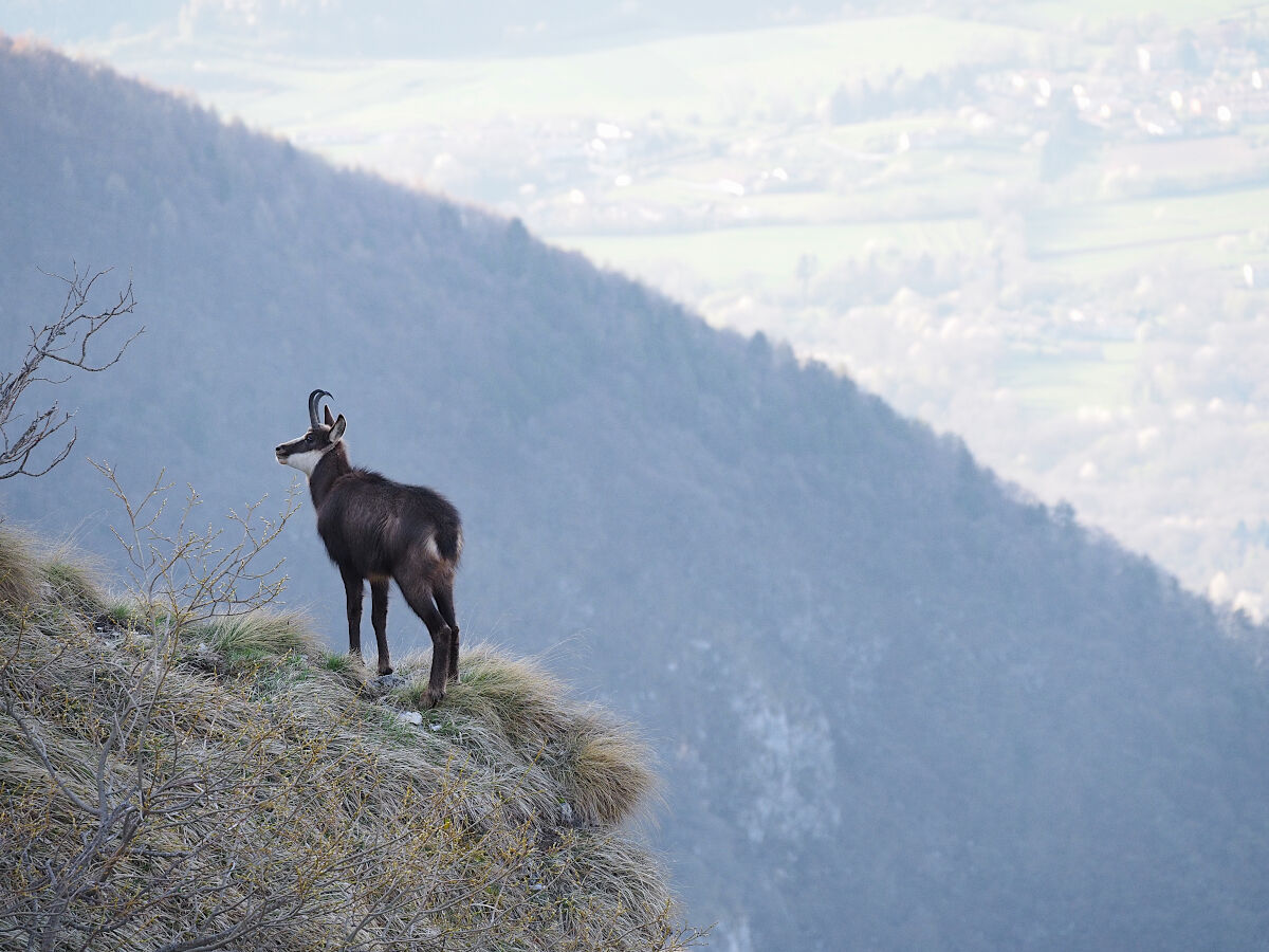 Away from civilization