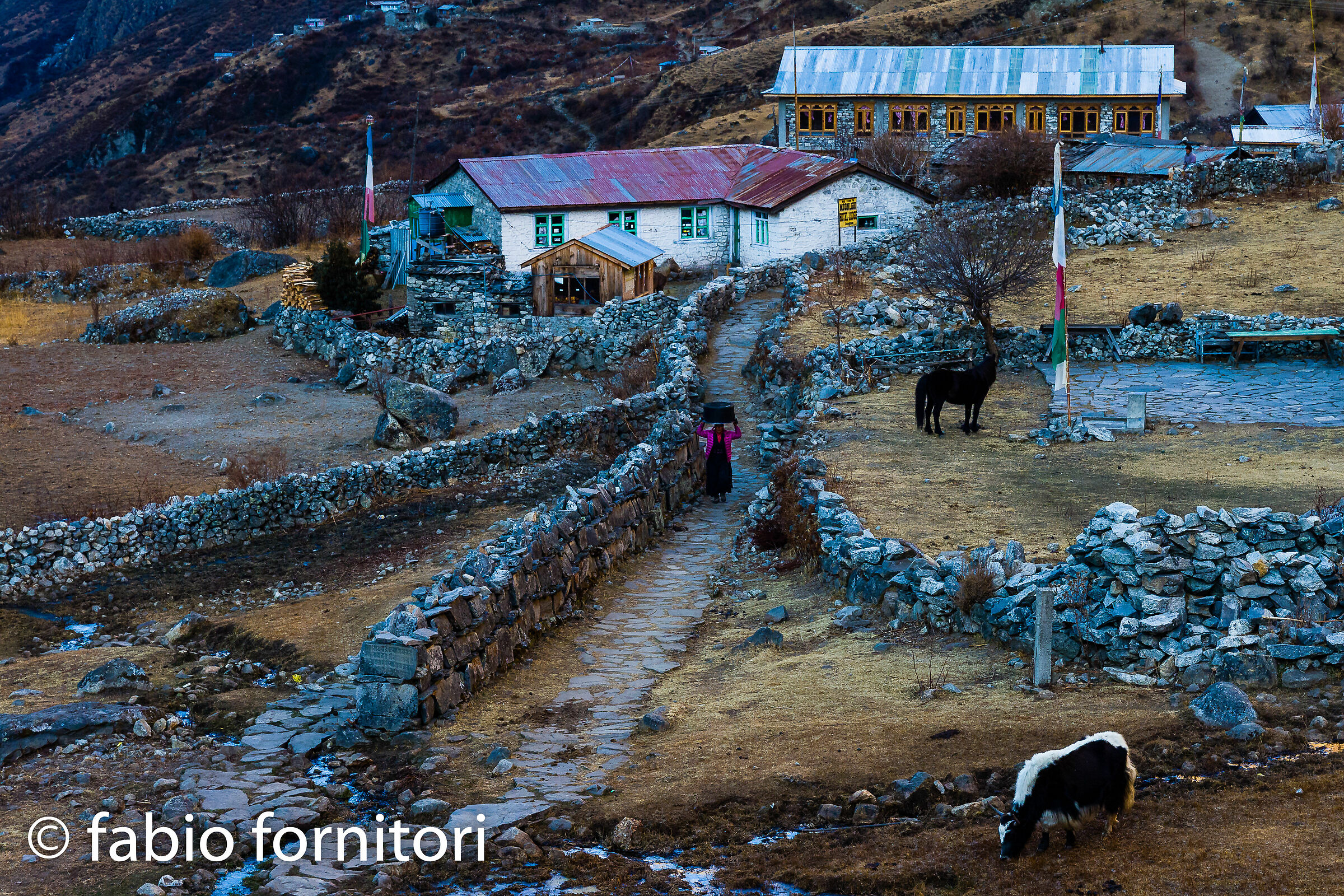 Langtang village, Early morning woman, Nepal 2011