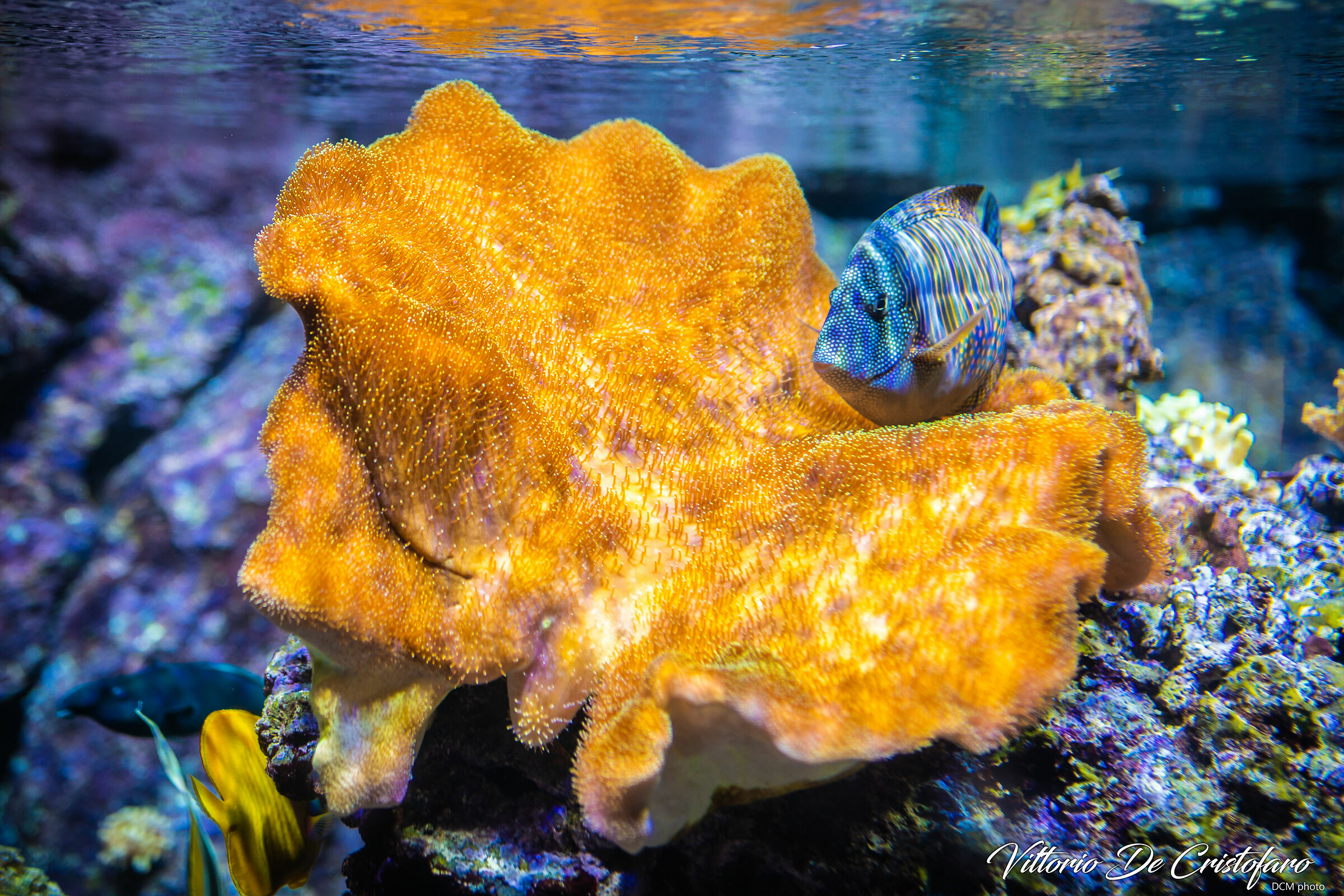 Milan Civic Aquarium