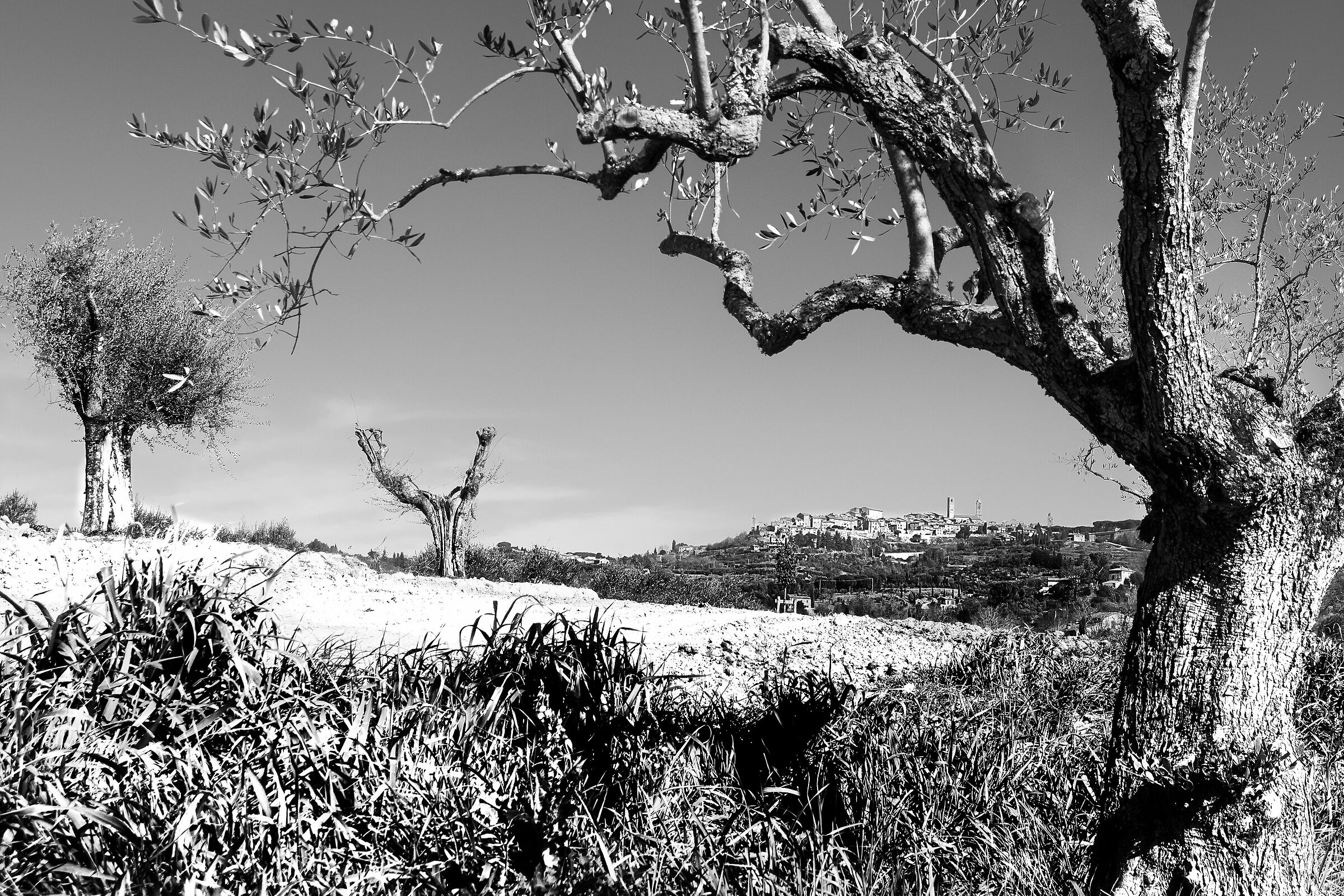 city of the pieve (pg)2